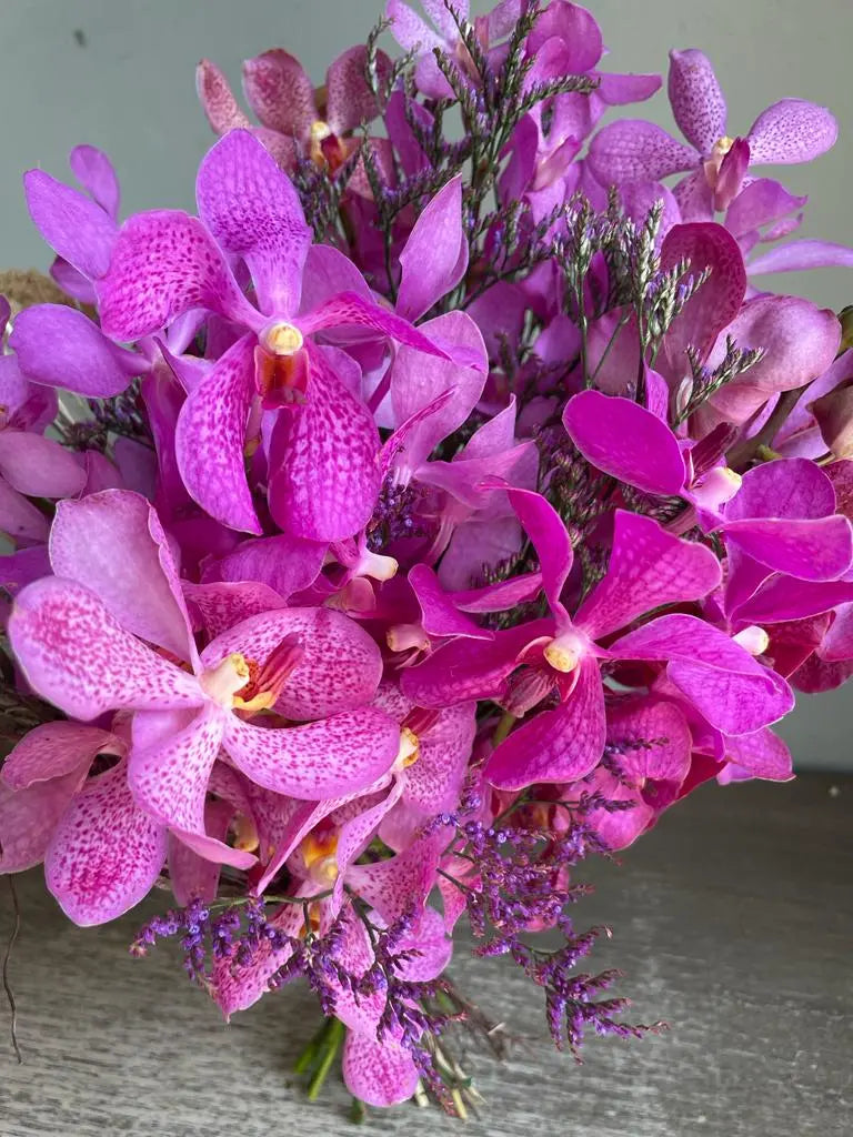 Pinkus 1magnolialane