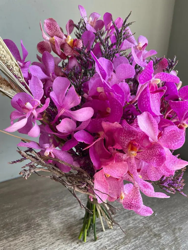 Pinkus 1magnolialane