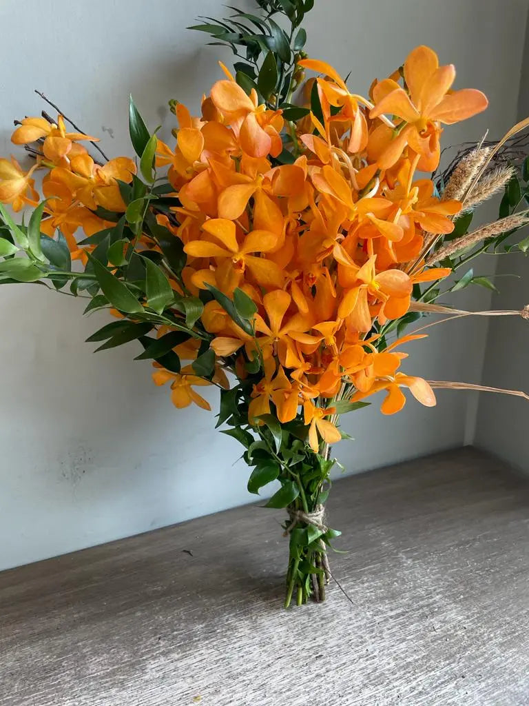 Orange Splash 1magnolialane