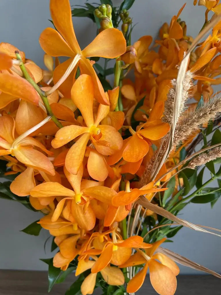 Orange Splash 1magnolialane