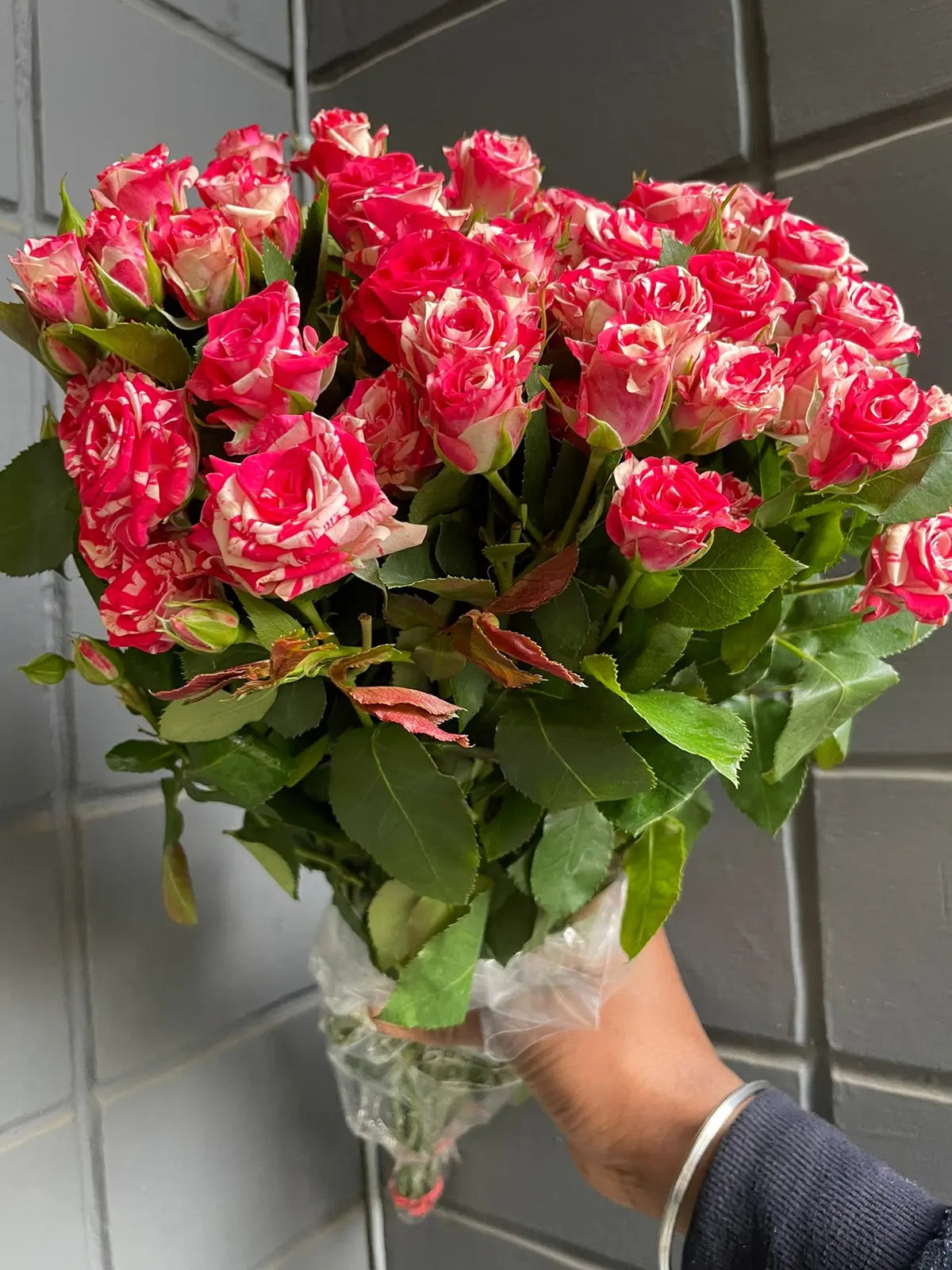 Rose 1magnolialane