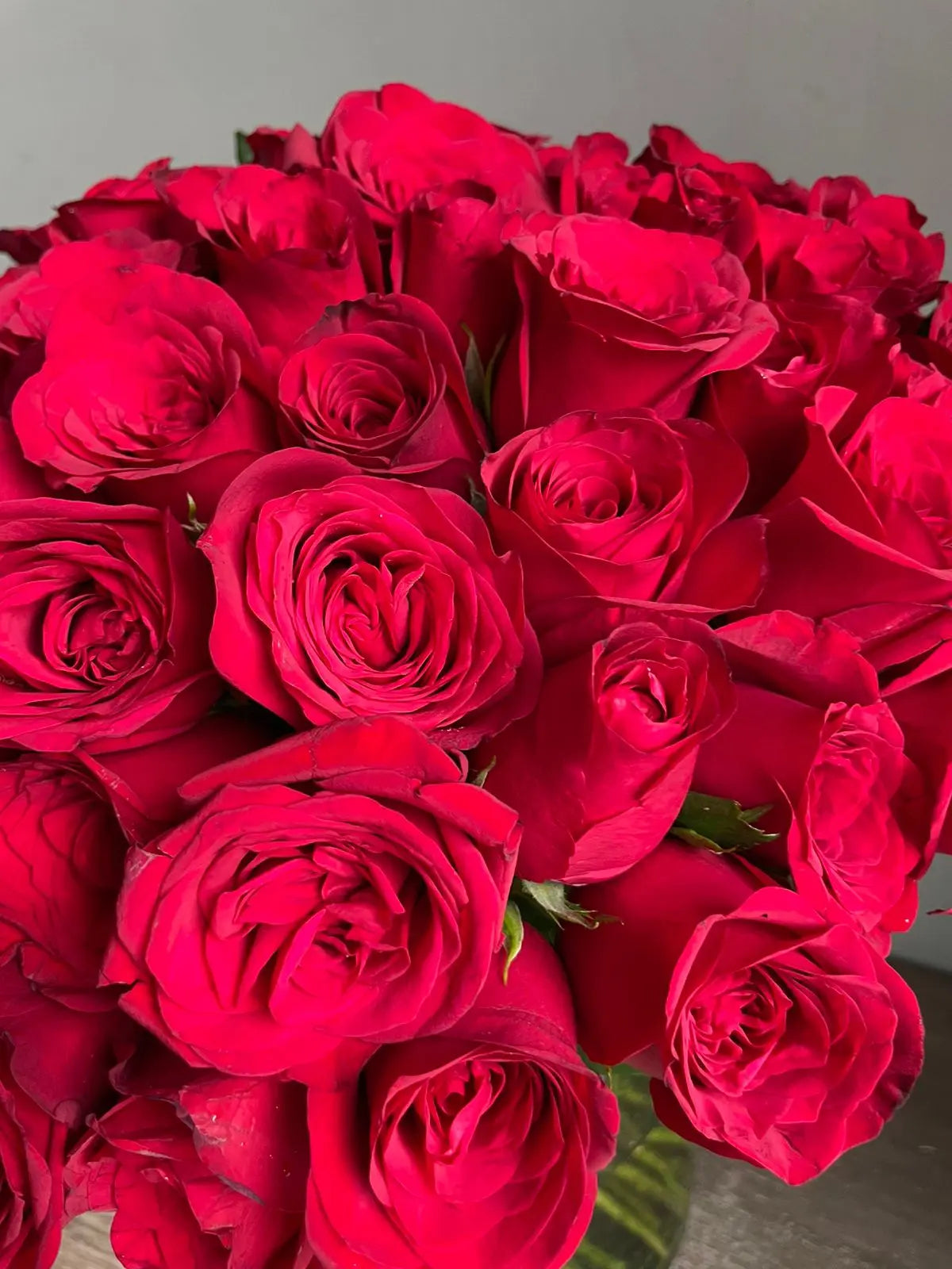 Heartbeat 1magnolialane