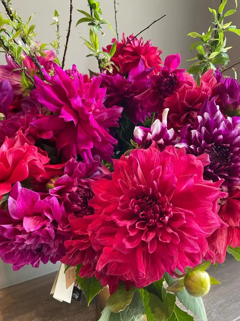 Birdsong 1magnolialane