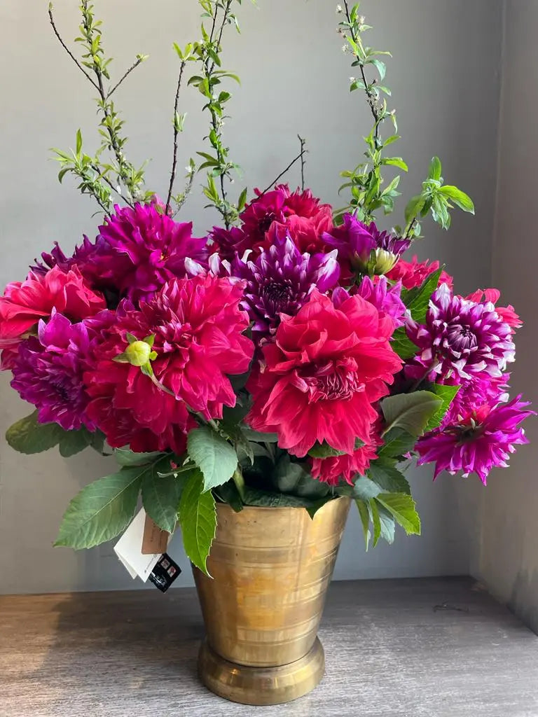 Birdsong 1magnolialane