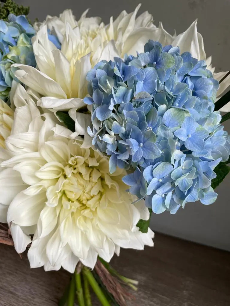 Bluebird 1magnolialane