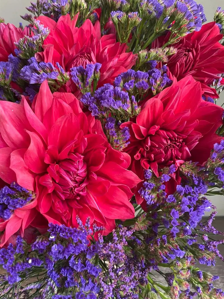 Dunked 1magnolialane