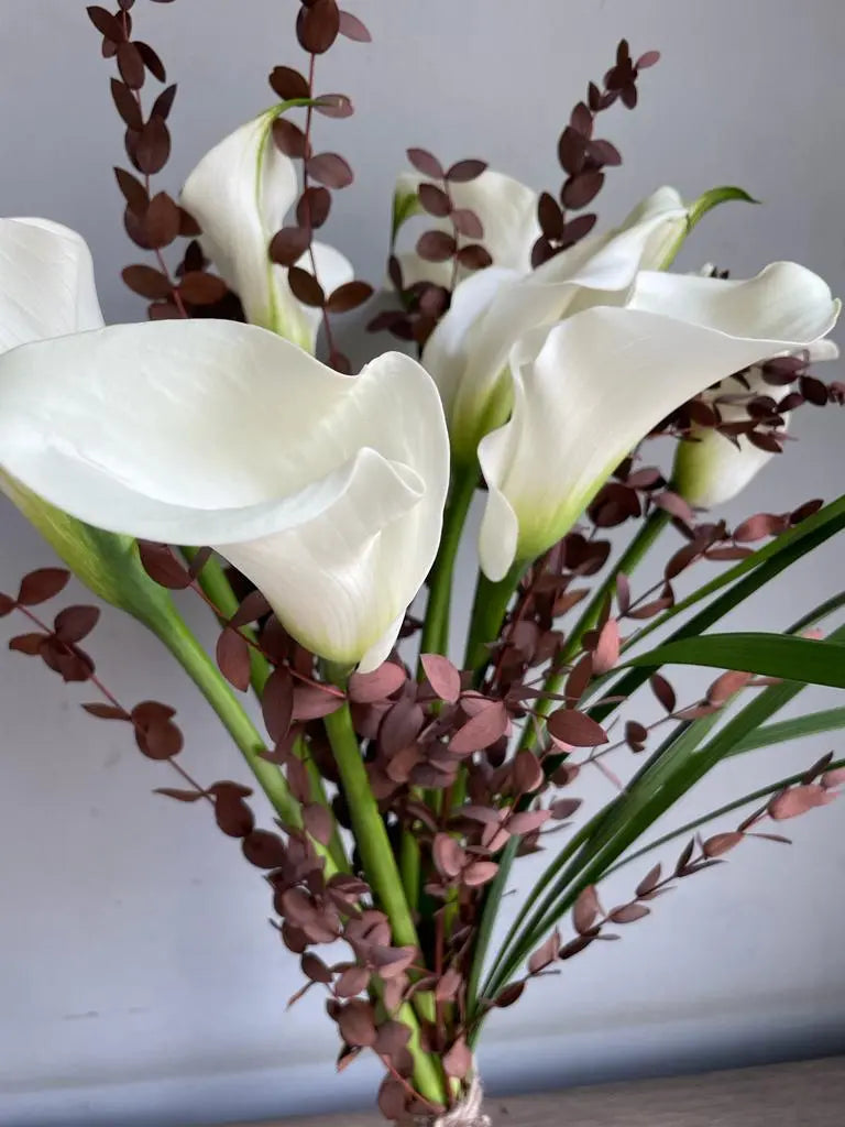 Pichkari 1magnolialane