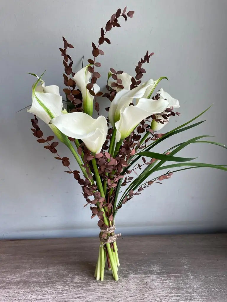 Pichkari 1magnolialane