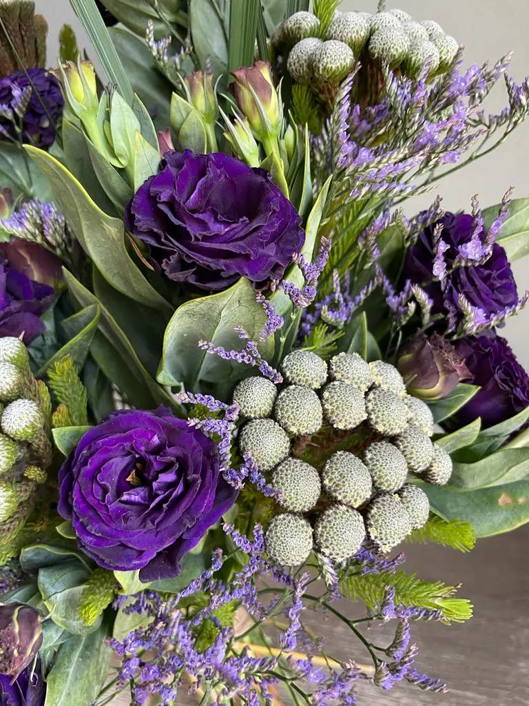 Cicero’s Garden 1magnolialane