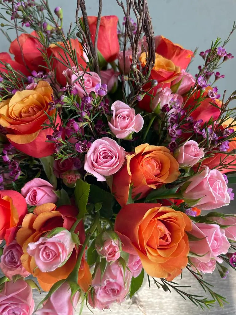 The Dazzlers 1magnolialane