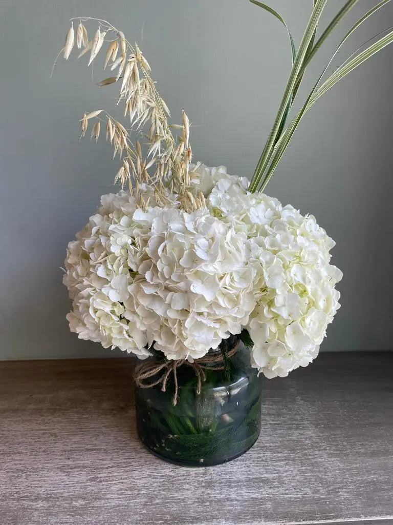 Havana Mama 1magnolialane