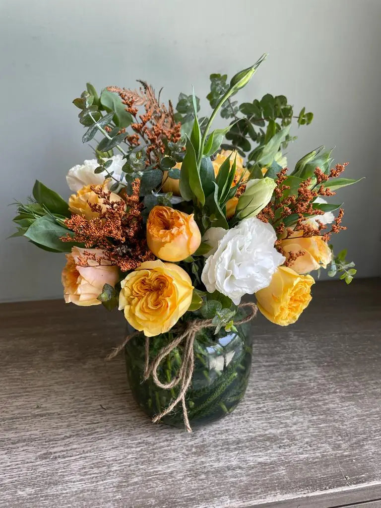 Catalina 1magnolialane