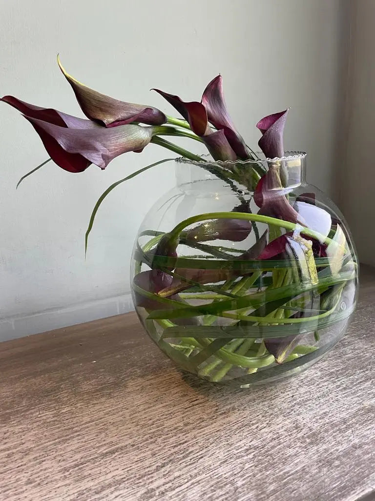 Curly Callas 1magnolialane