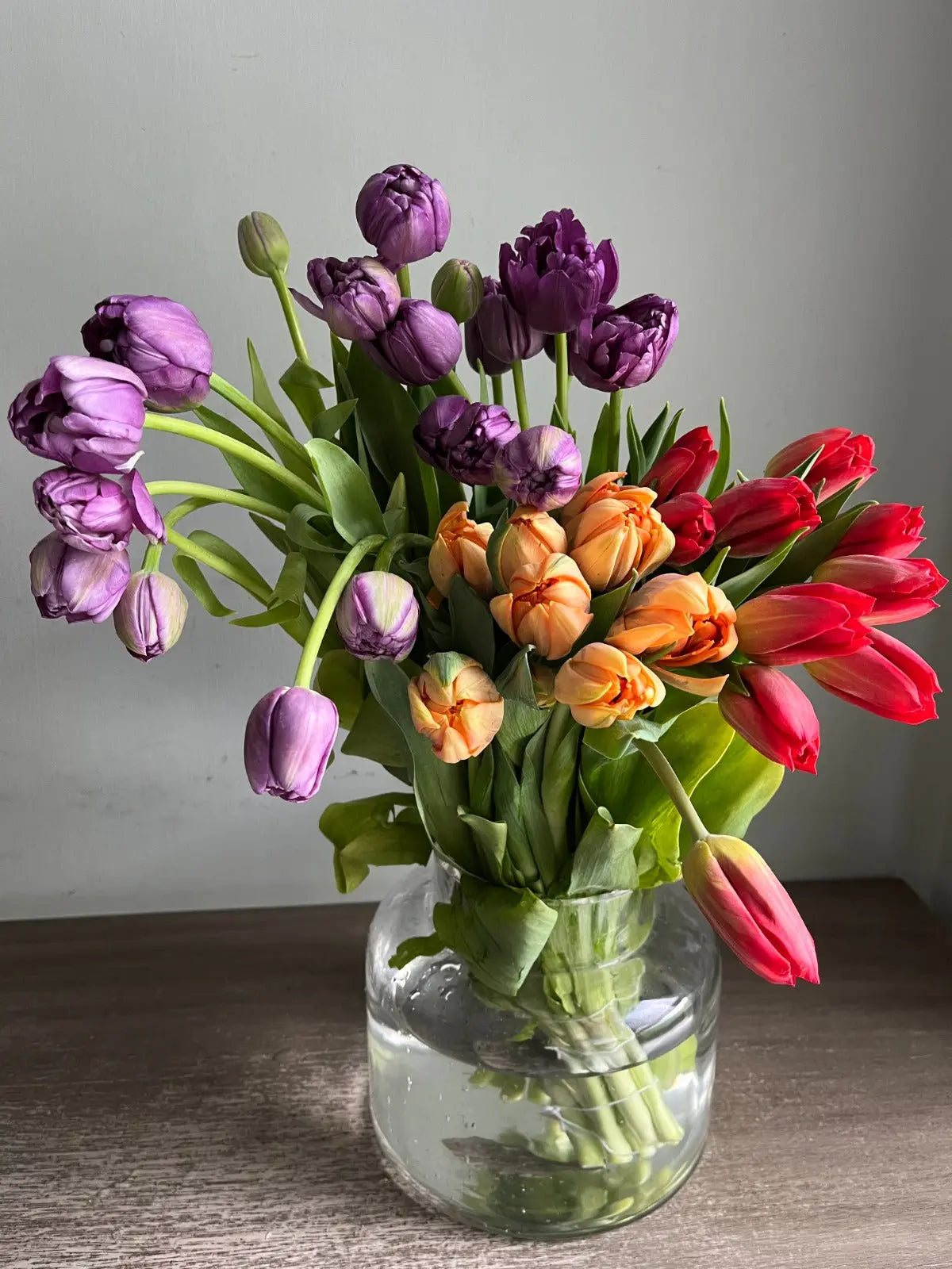 Tulipsy 1magnolialane