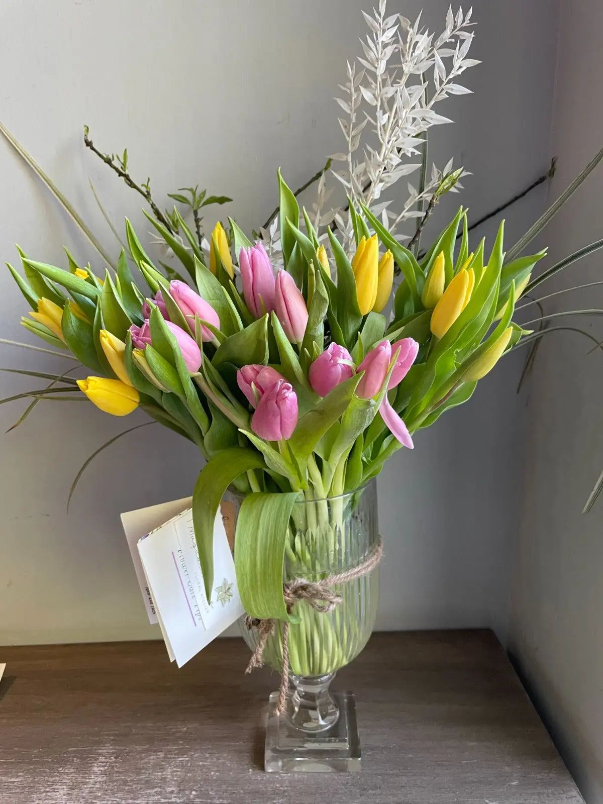 Tulipoodle 1magnolialane