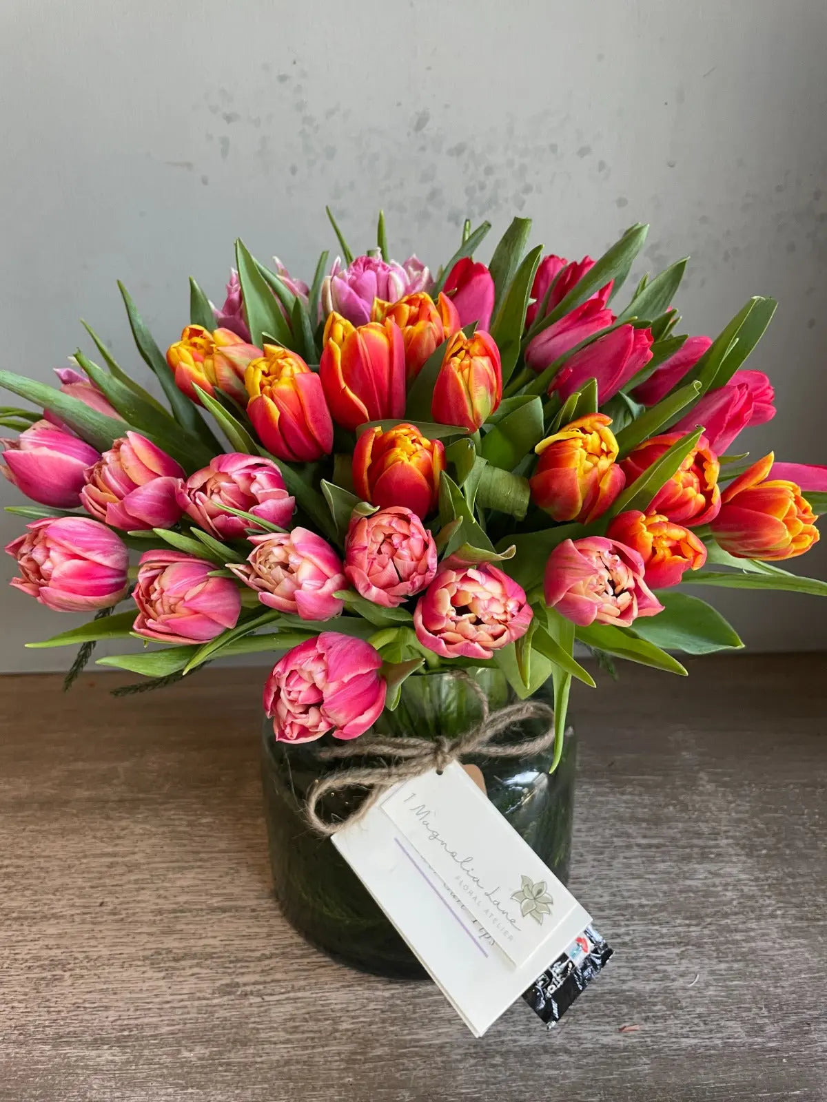 Tulipmania 1magnolialane