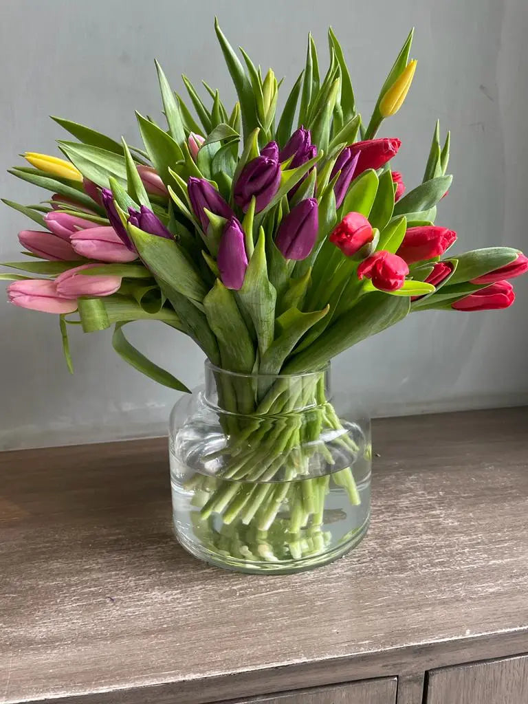 Tulipocalypse 1magnolialane