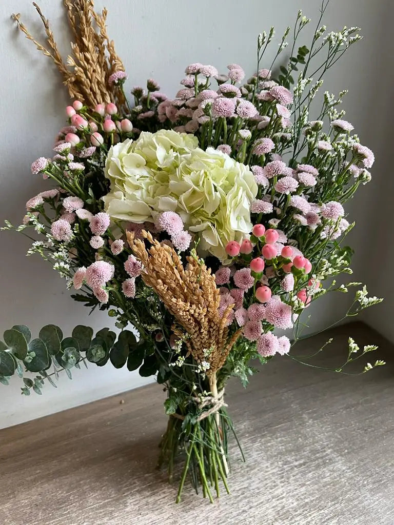 Contento 1magnolialane