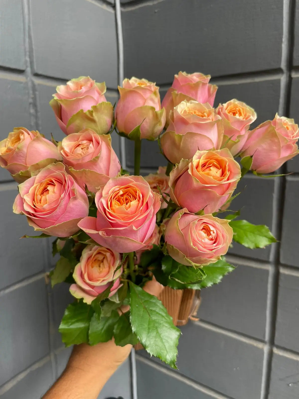 Rose 1magnolialane