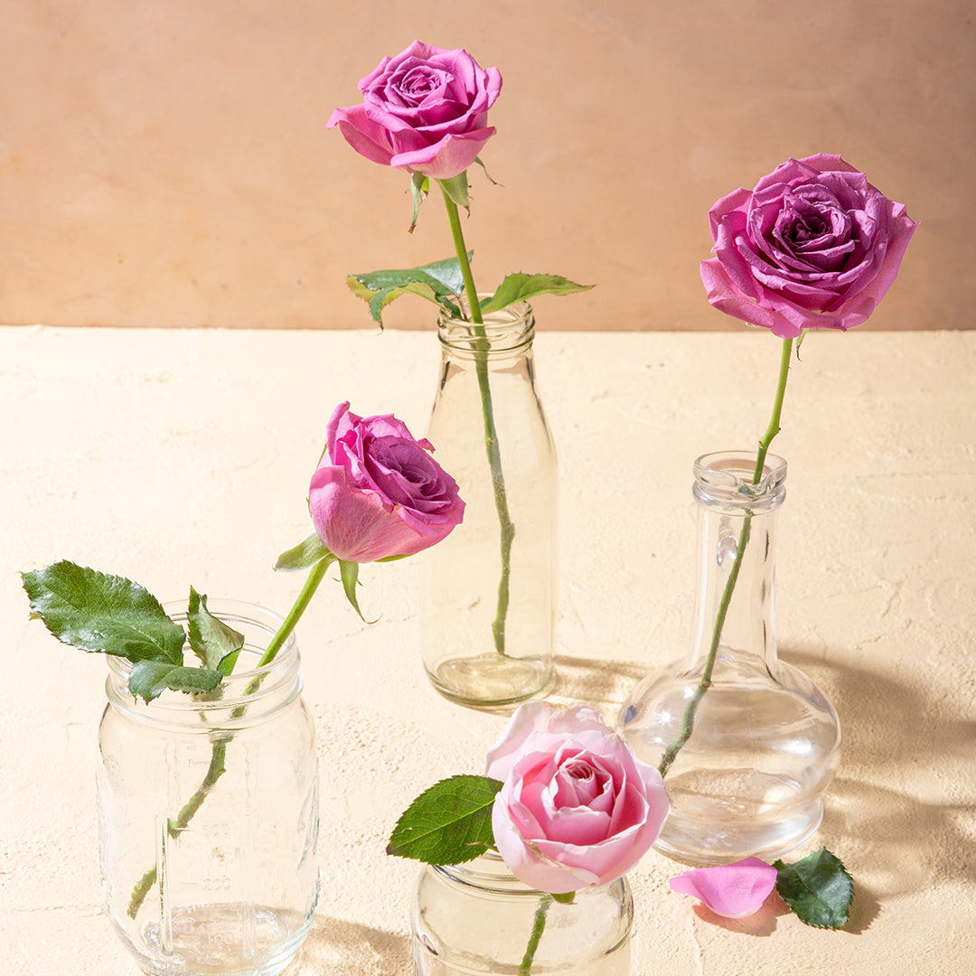 What do the different colors of roses mean?