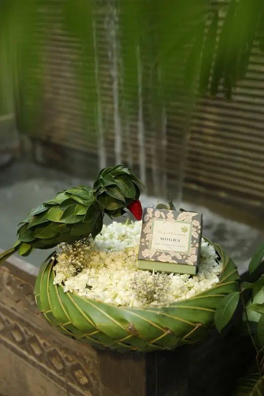 Mohak Mogra Tokri 1magnolialane