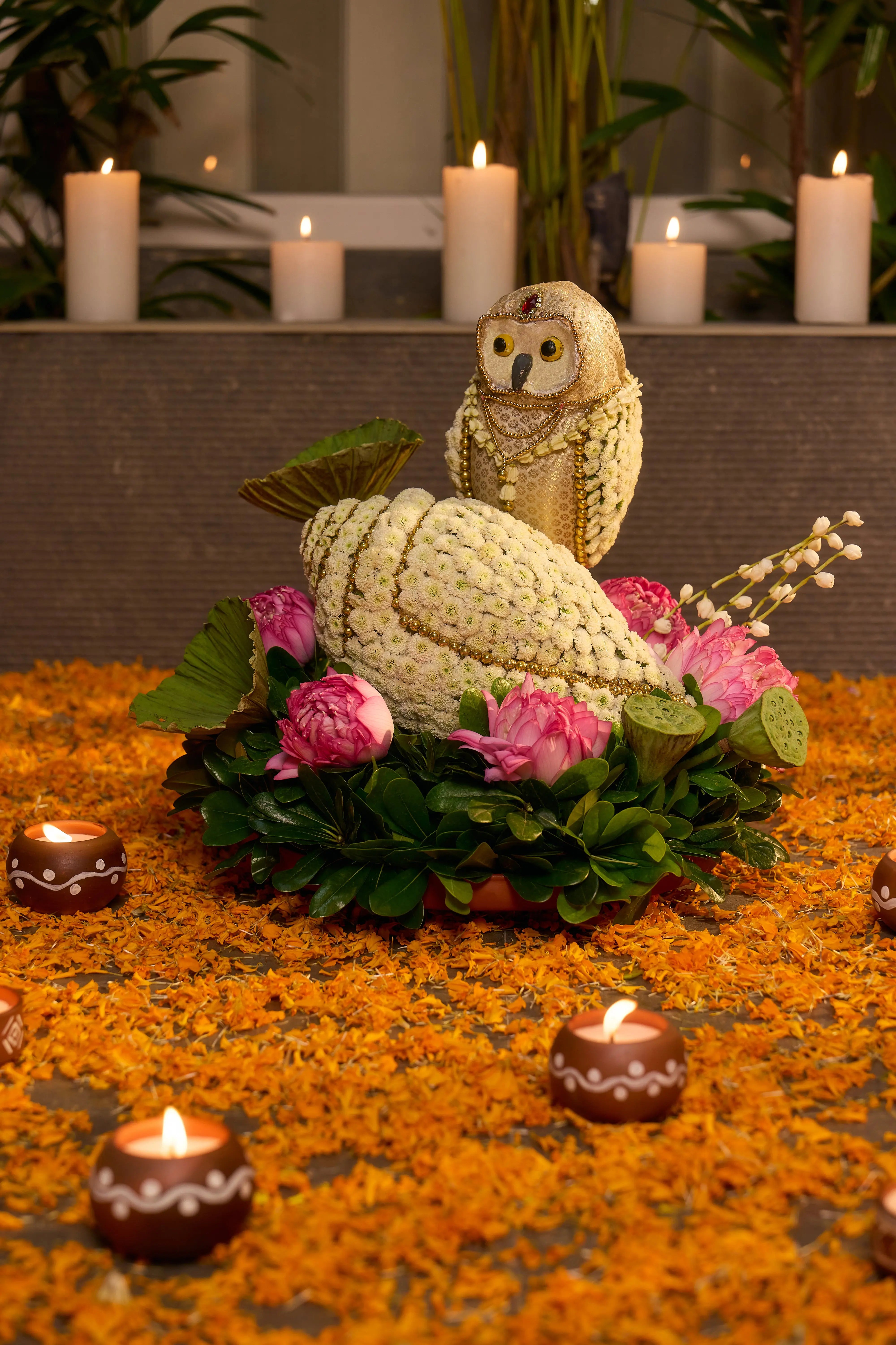 Uluk - Laxmi's Vahan 1magnolialane