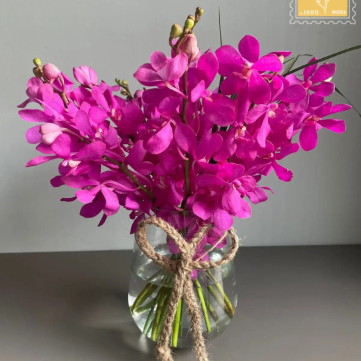 Shop Cheri Romantic Soft-Tone Florals | 1 Magnolia Lane