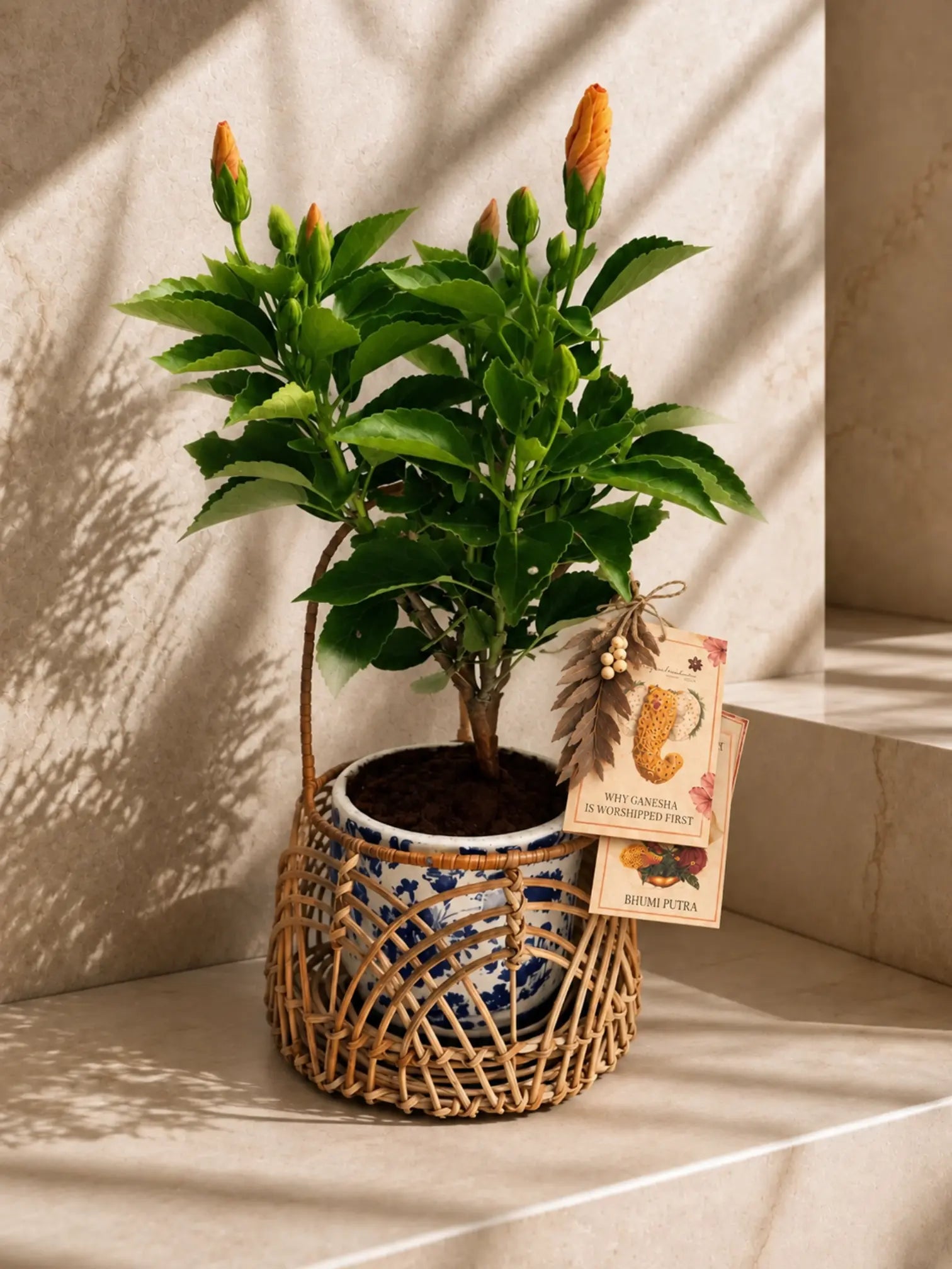 Kesari Japa 1magnolialane