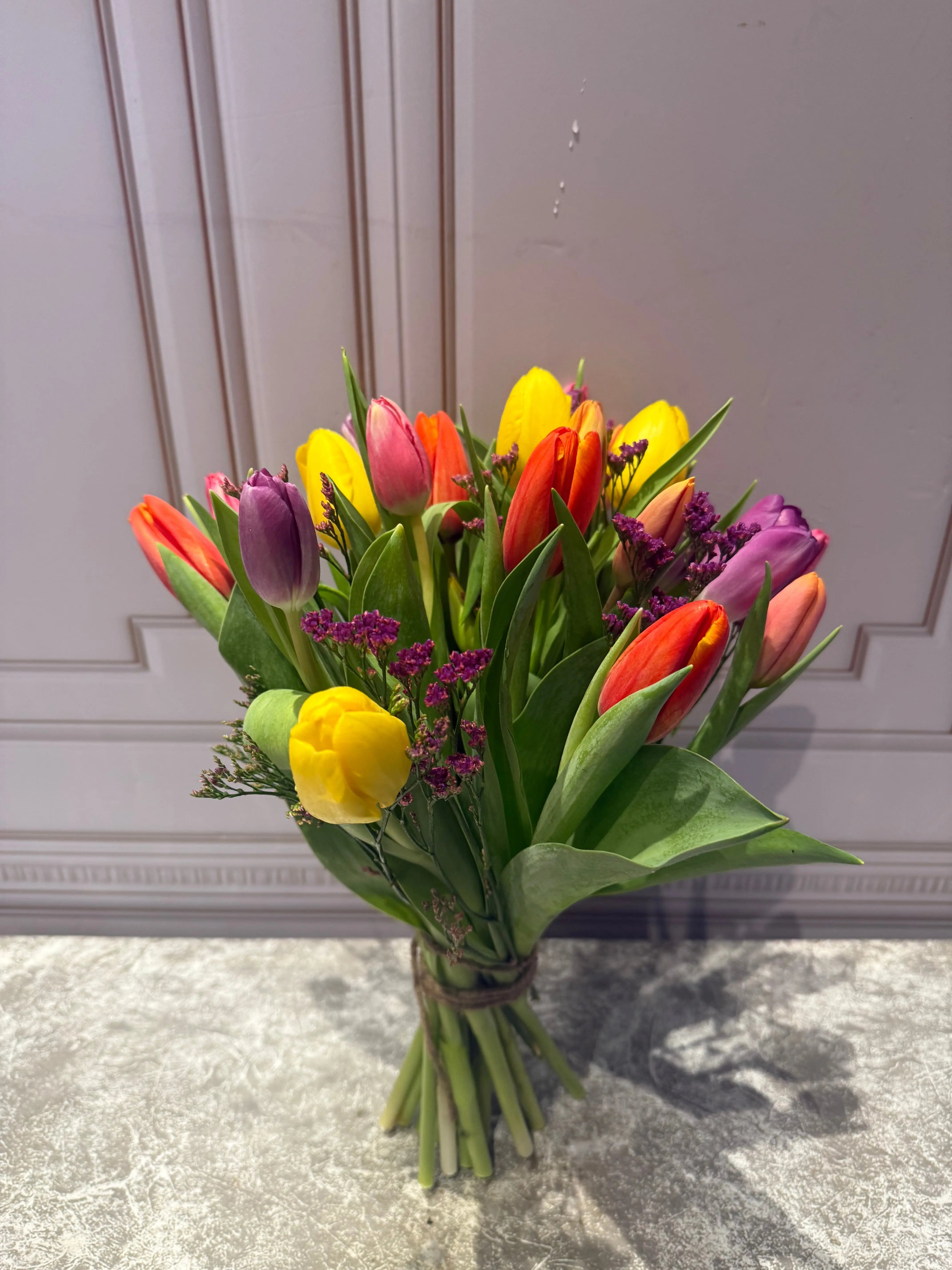 Tulipped 1magnolialane