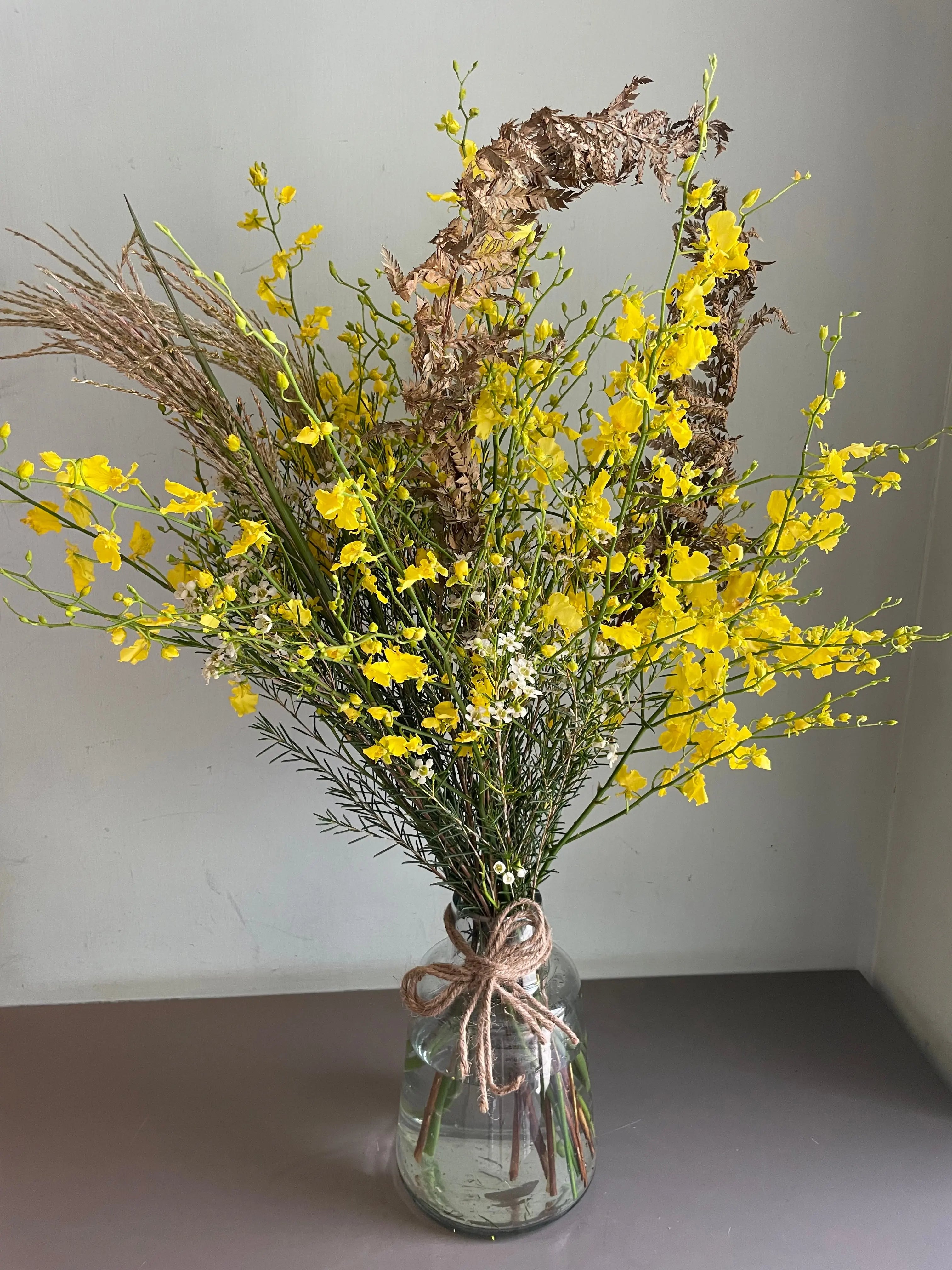 Patience 1magnolialane