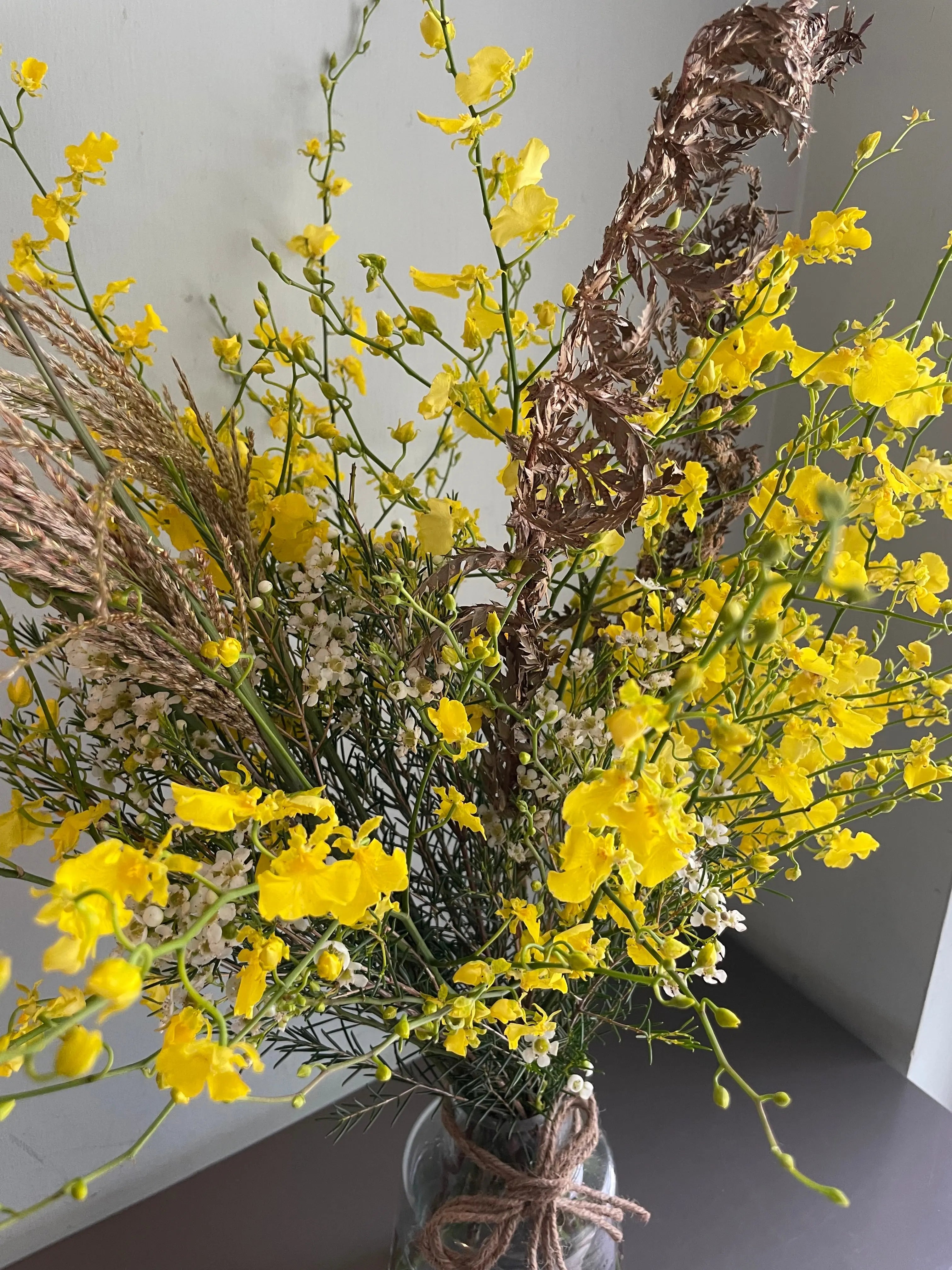 Patience 1magnolialane