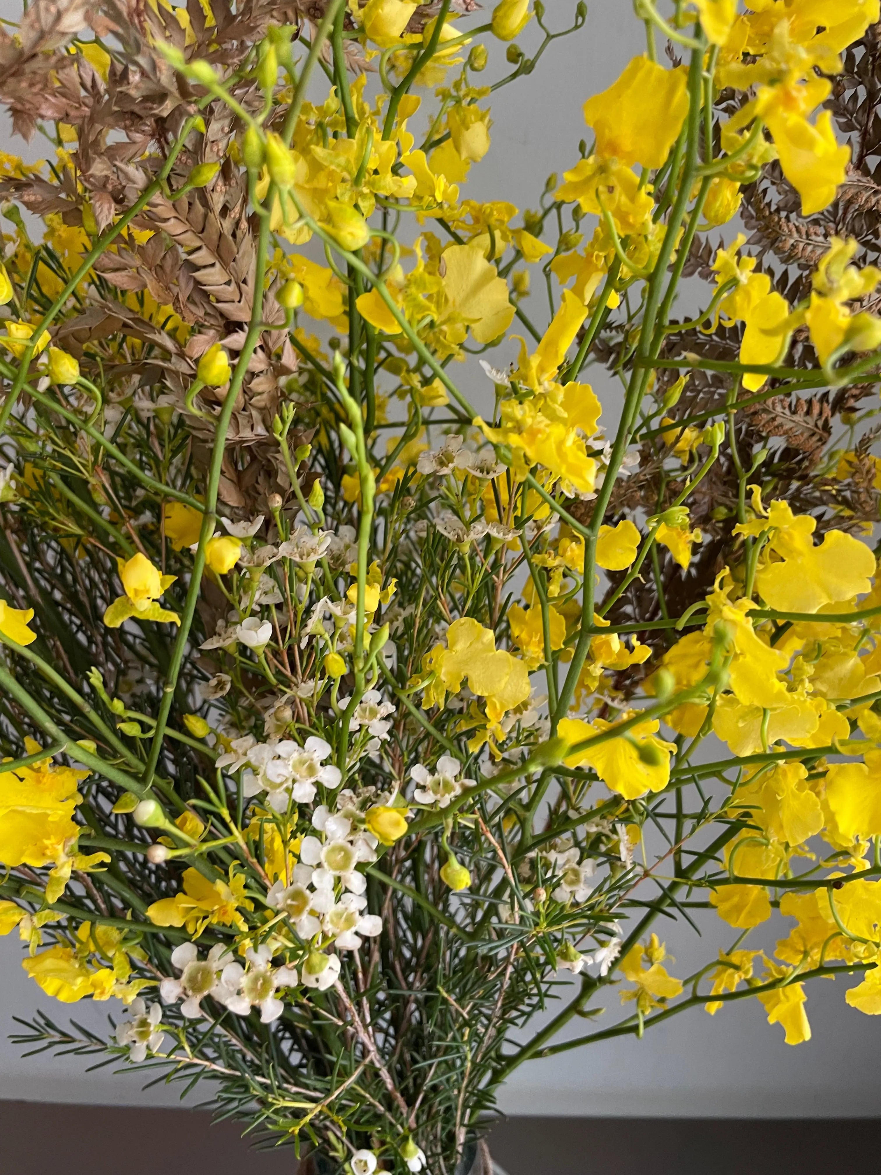 Patience 1magnolialane