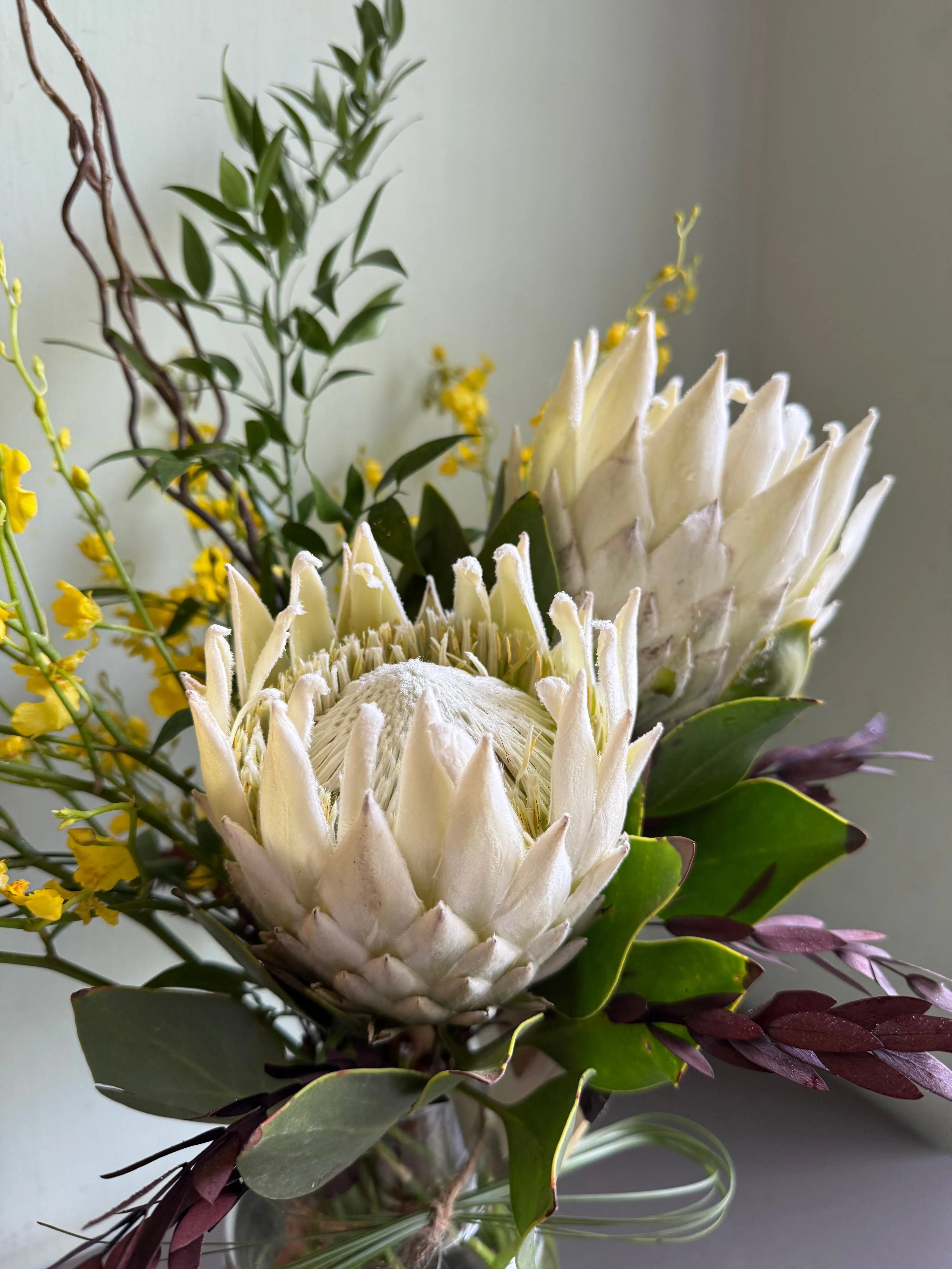 Two Nobles 1magnolialane