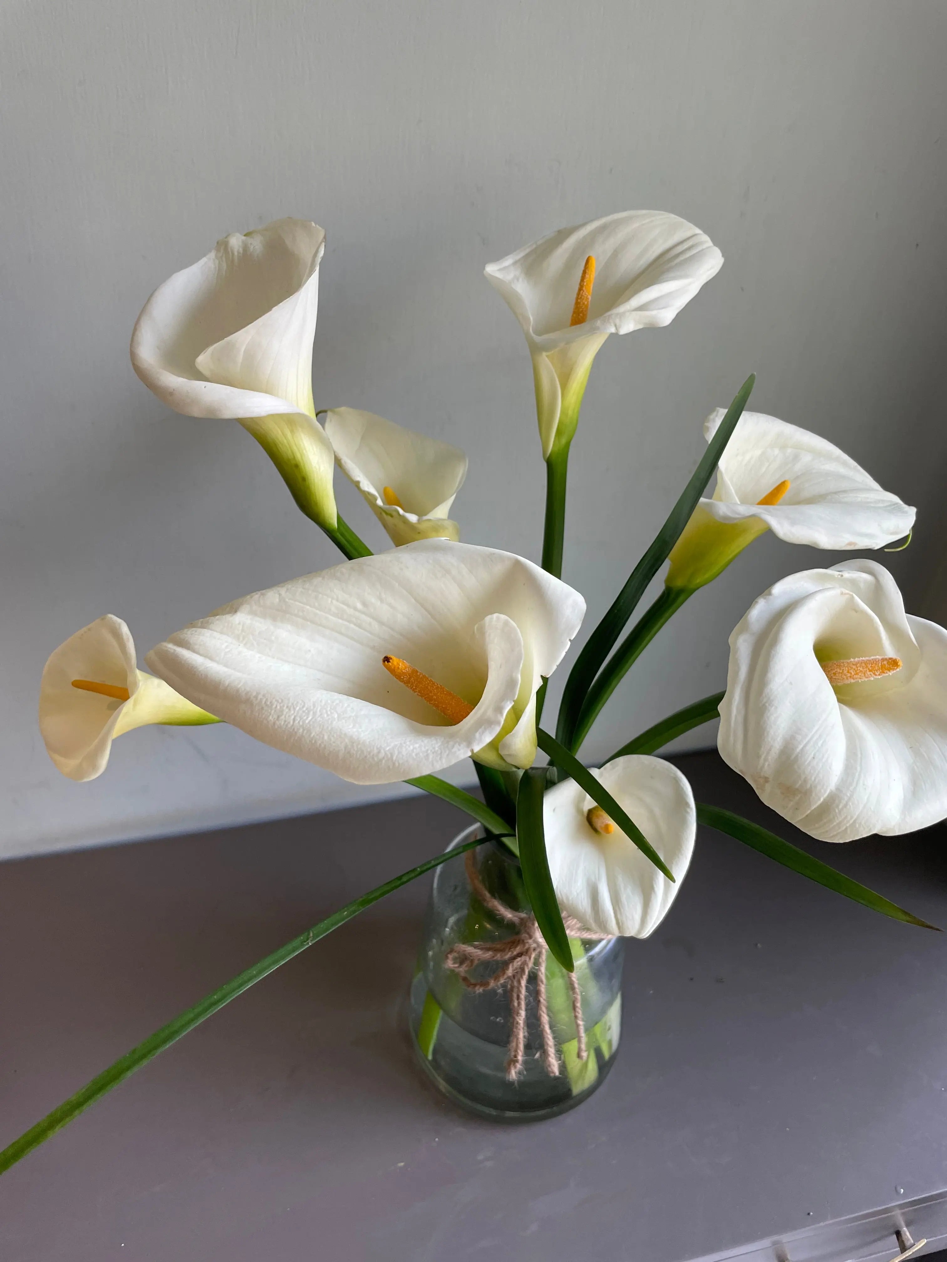 Hope Blooms Eternal 1magnolialane