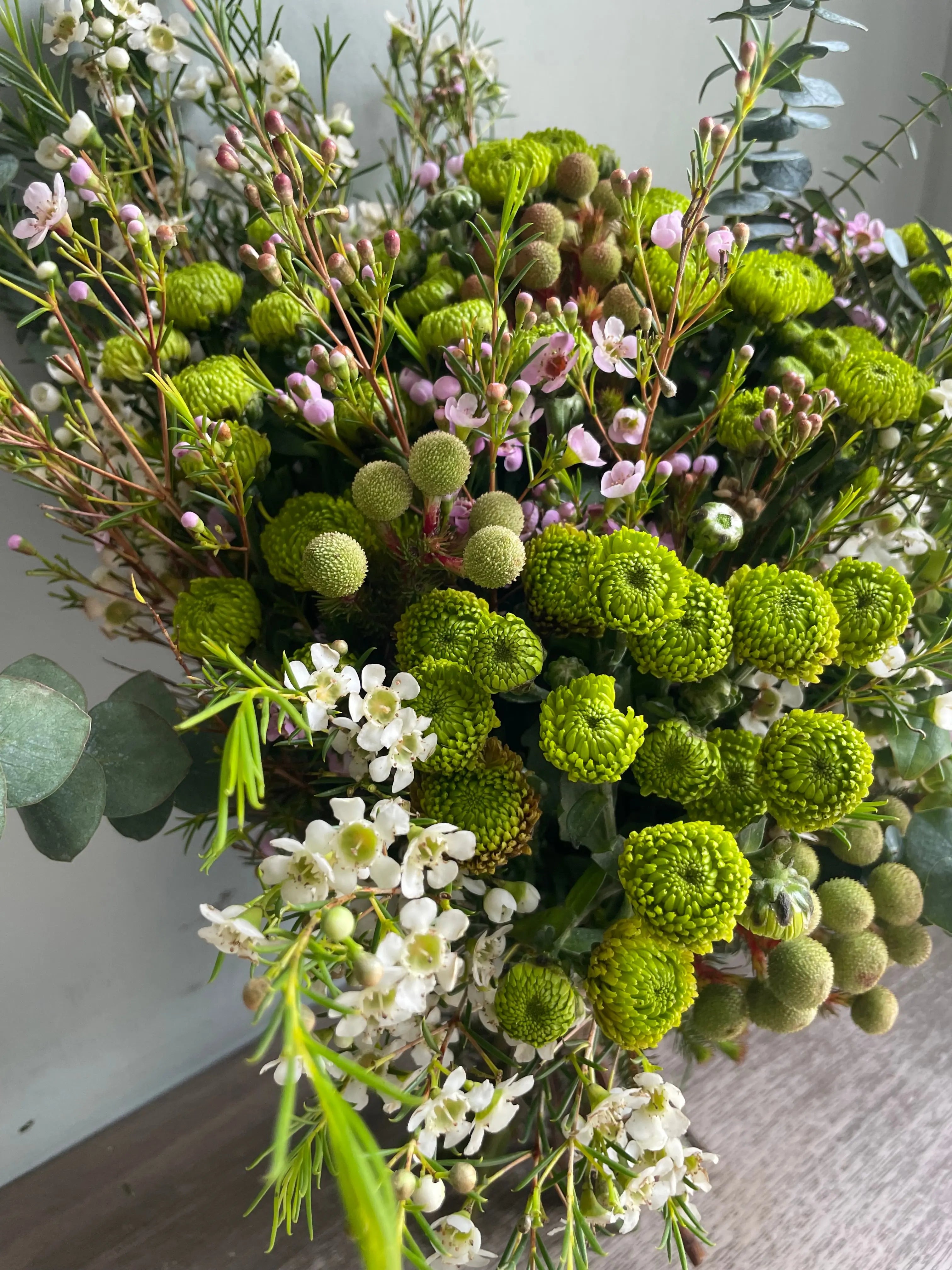 Green Flare 1magnolialane