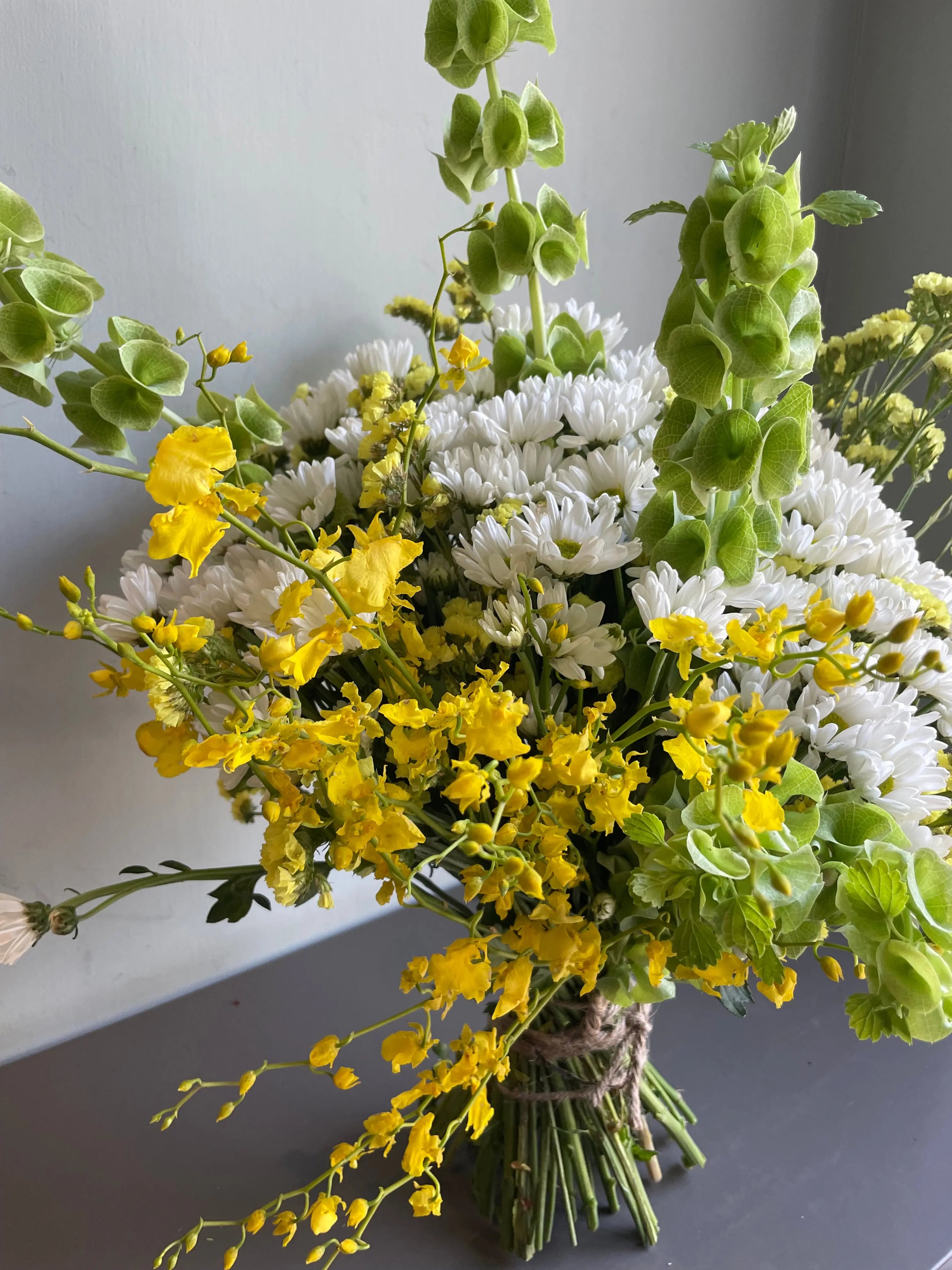 Alien Moon 1magnolialane