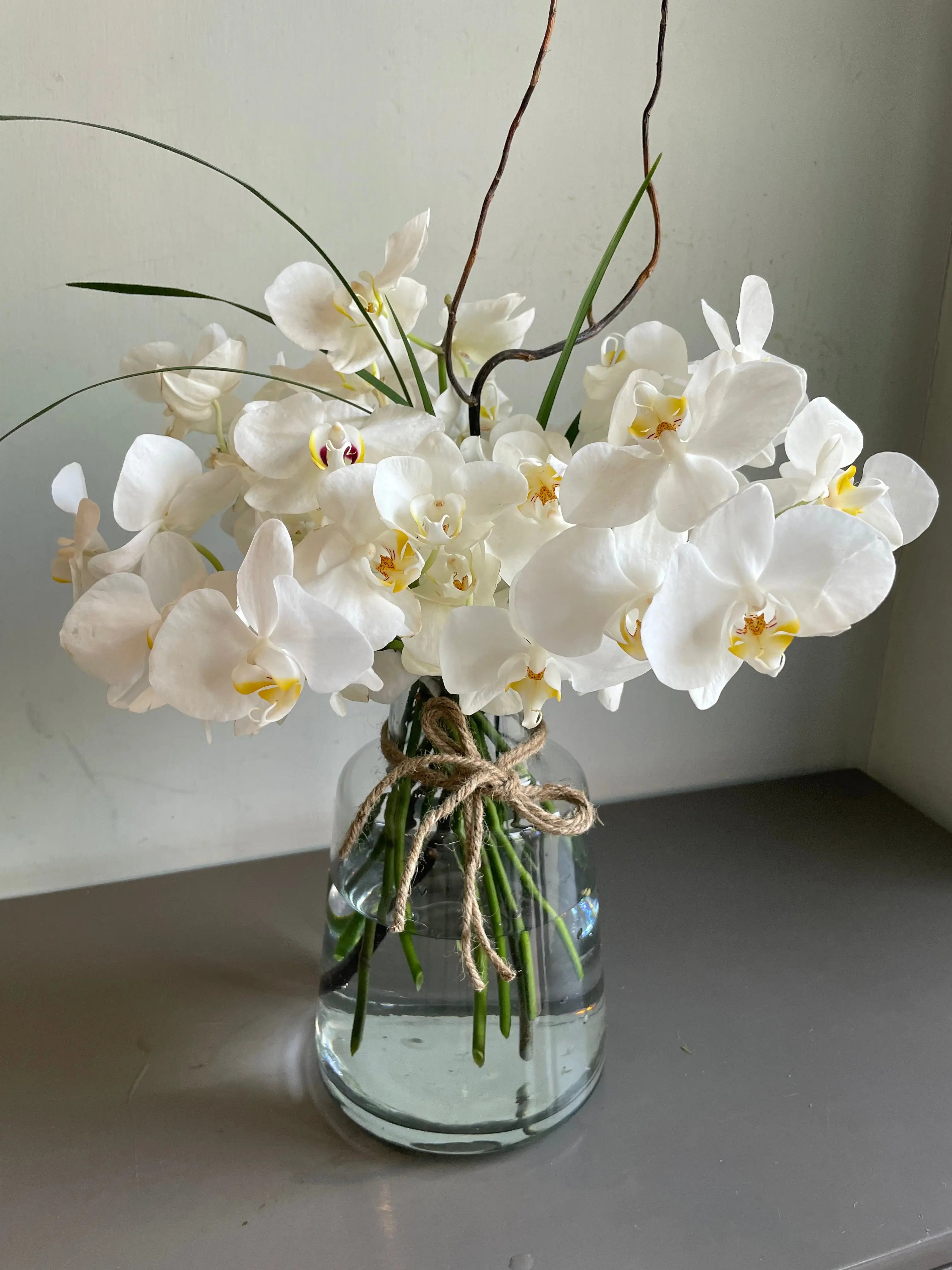 A Gentleman’s Flower 1magnolialane