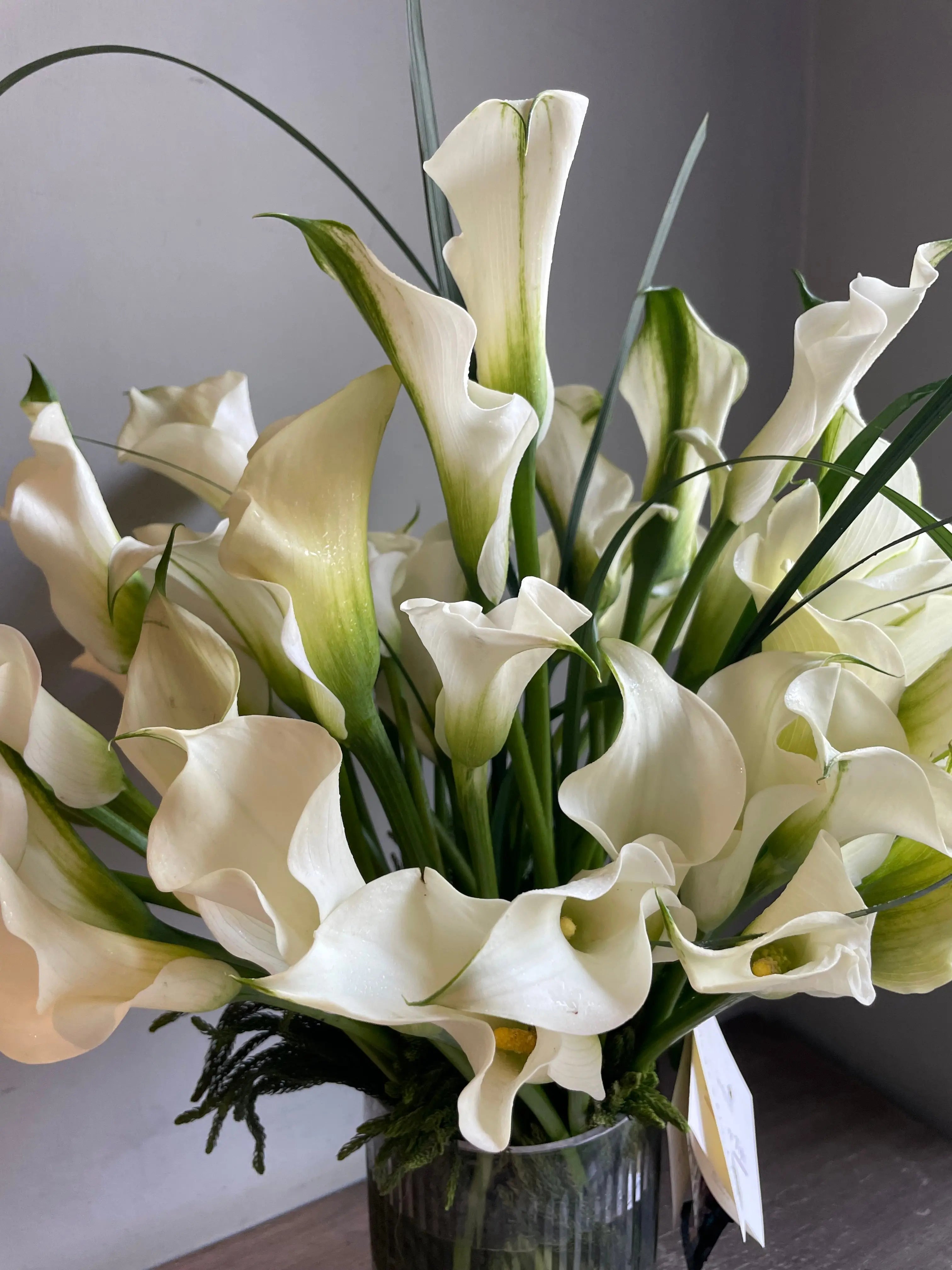 A Lily For Your Thought 1magnolialane