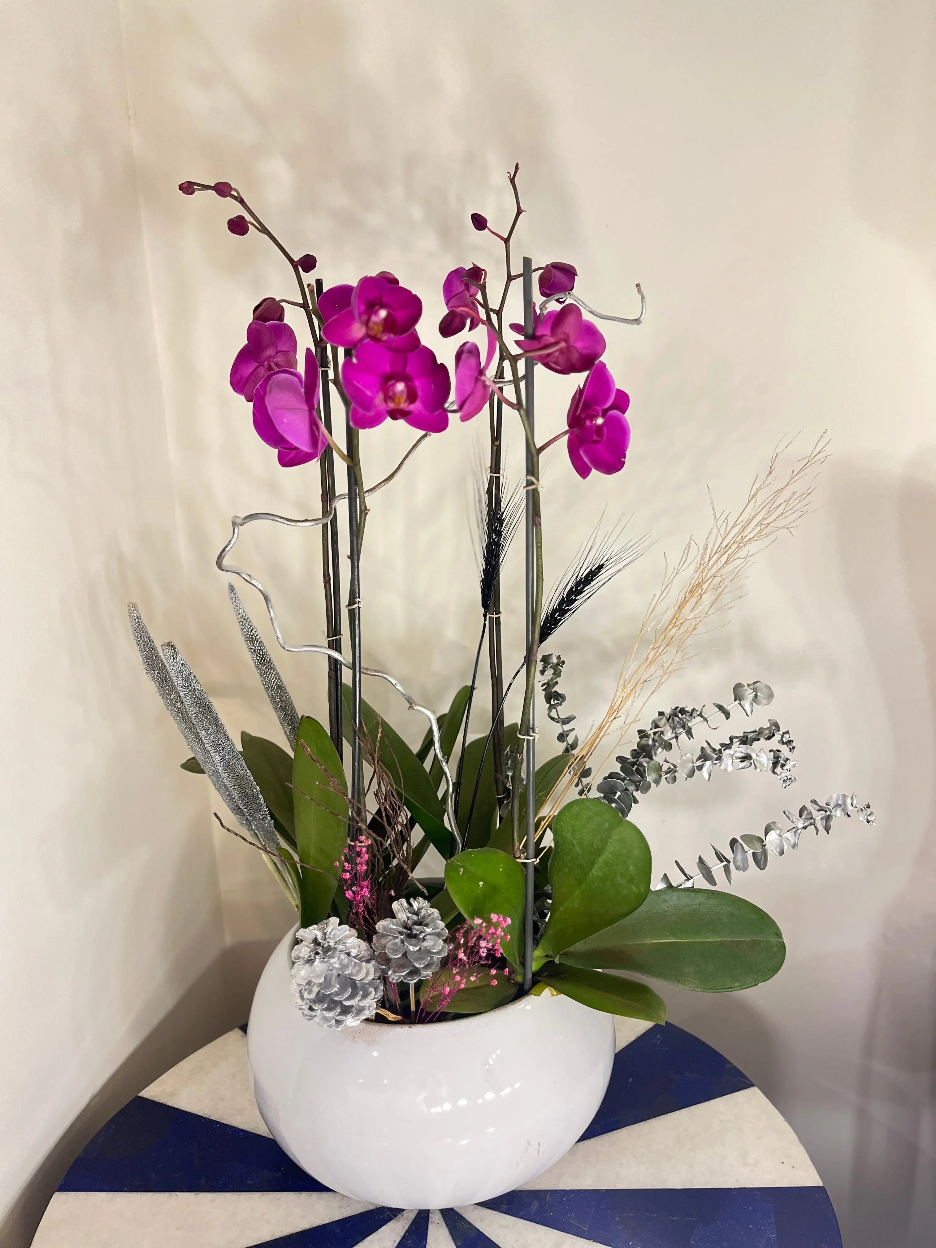 4 stem Phalaenopsis pots 1magnolialane