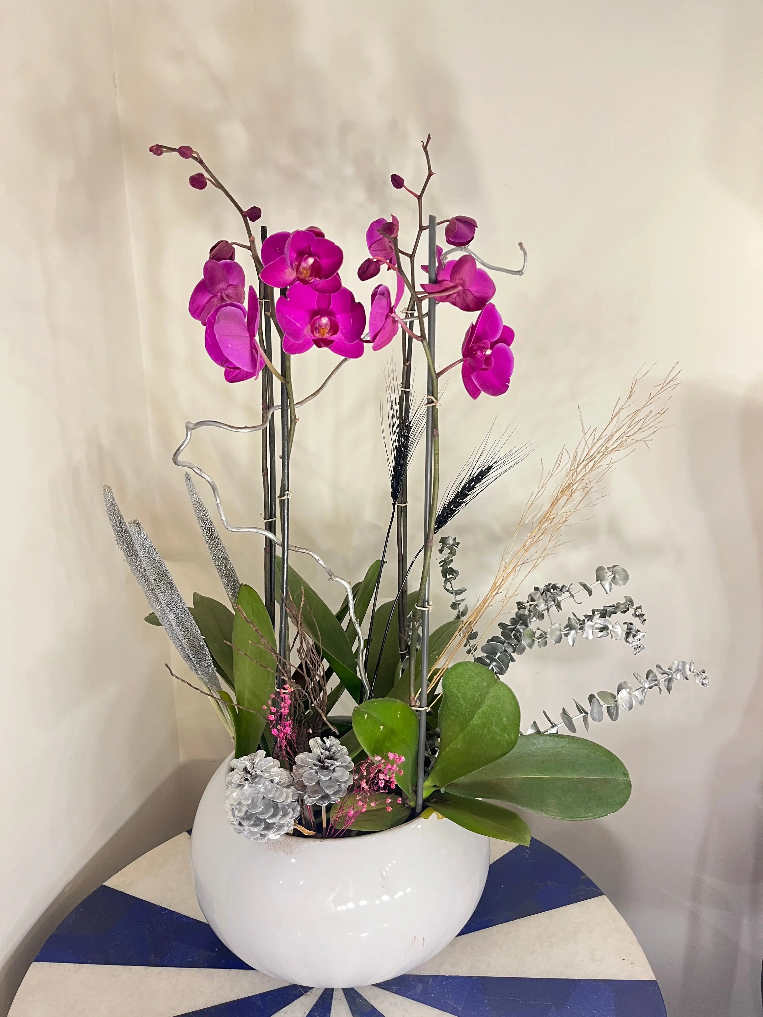 4 stem Phalaenopsis pots 1magnolialane