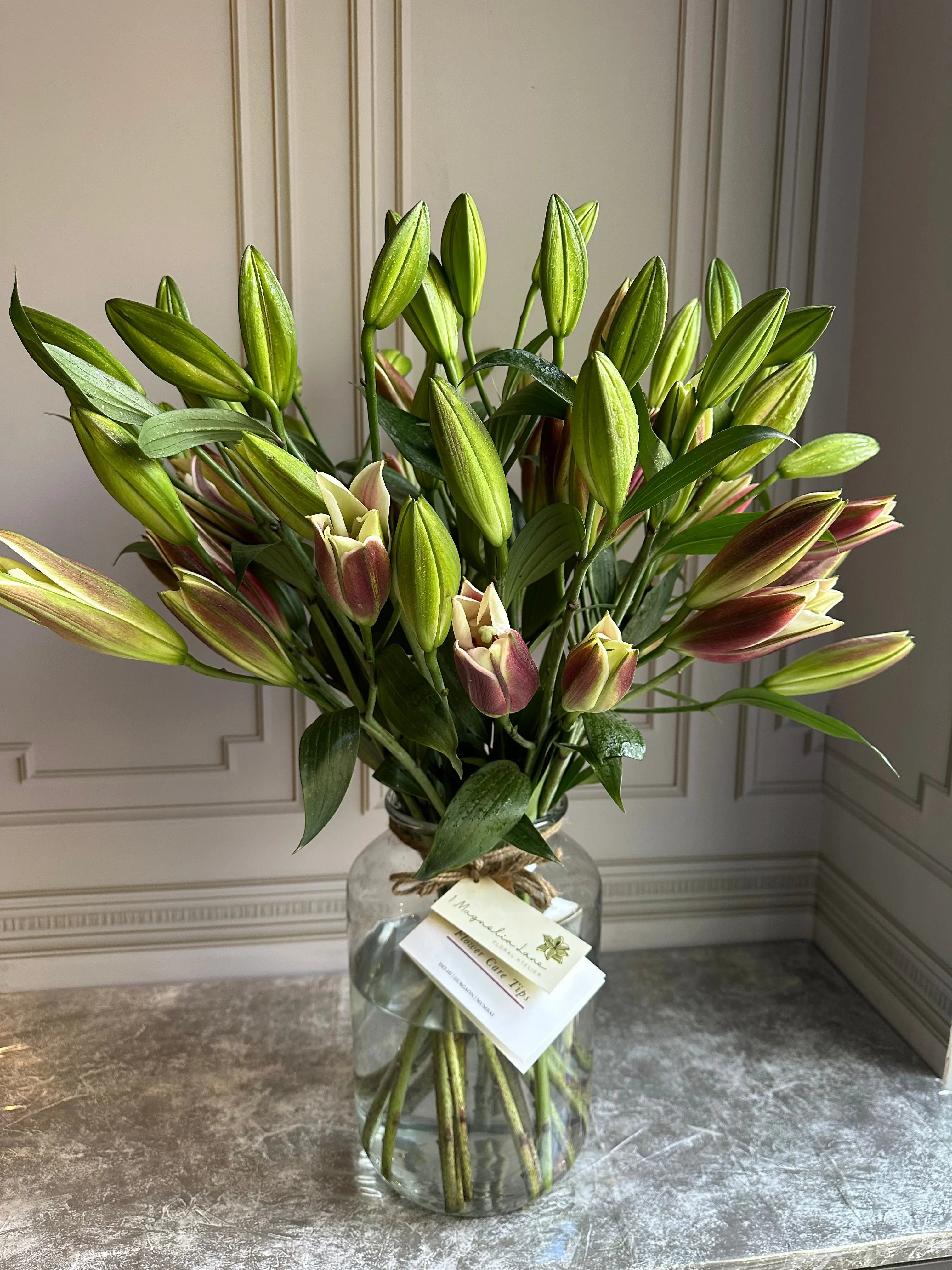 Long Live the Lilies 1magnolialane