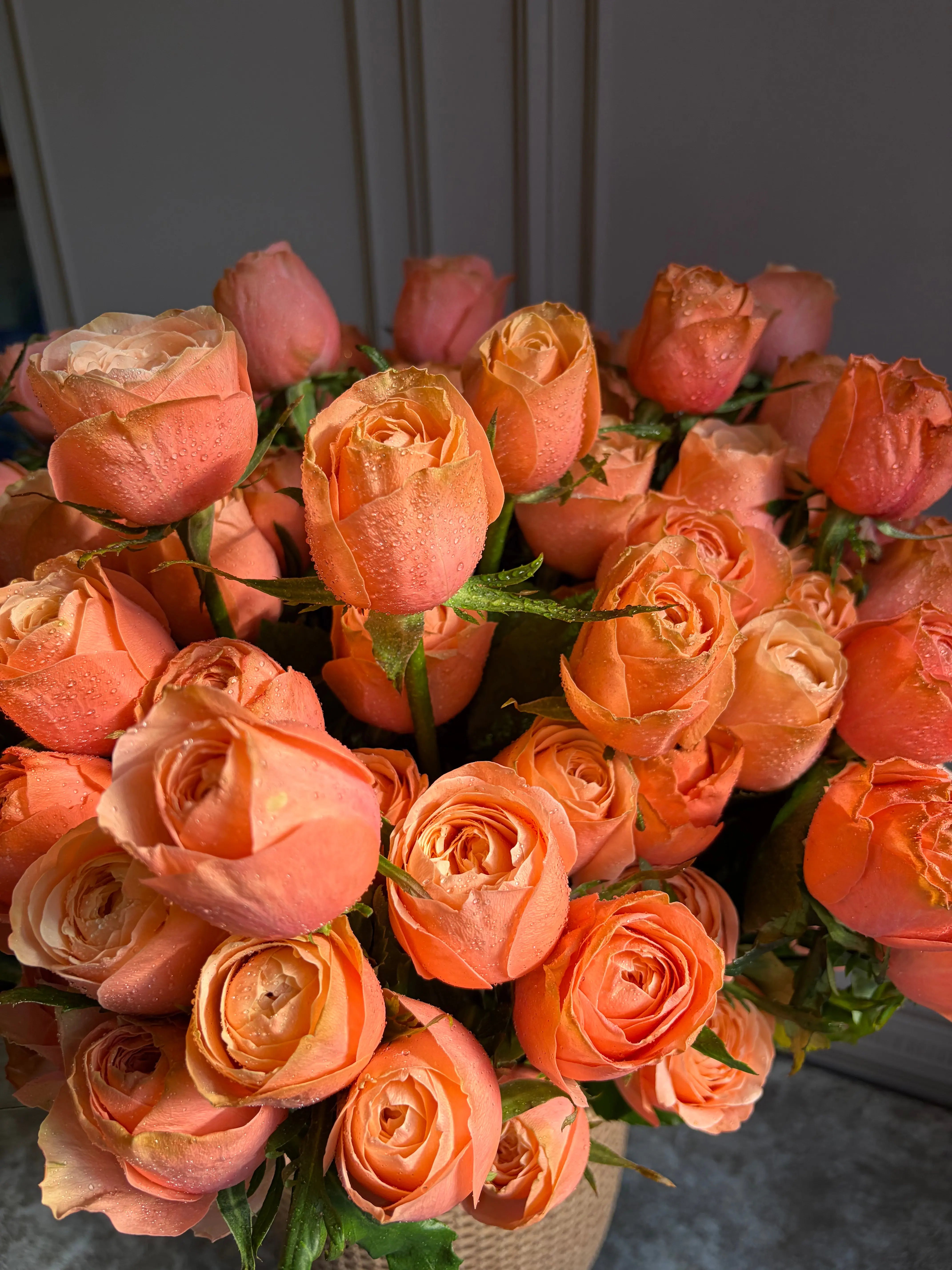 Felicità 1magnolialane