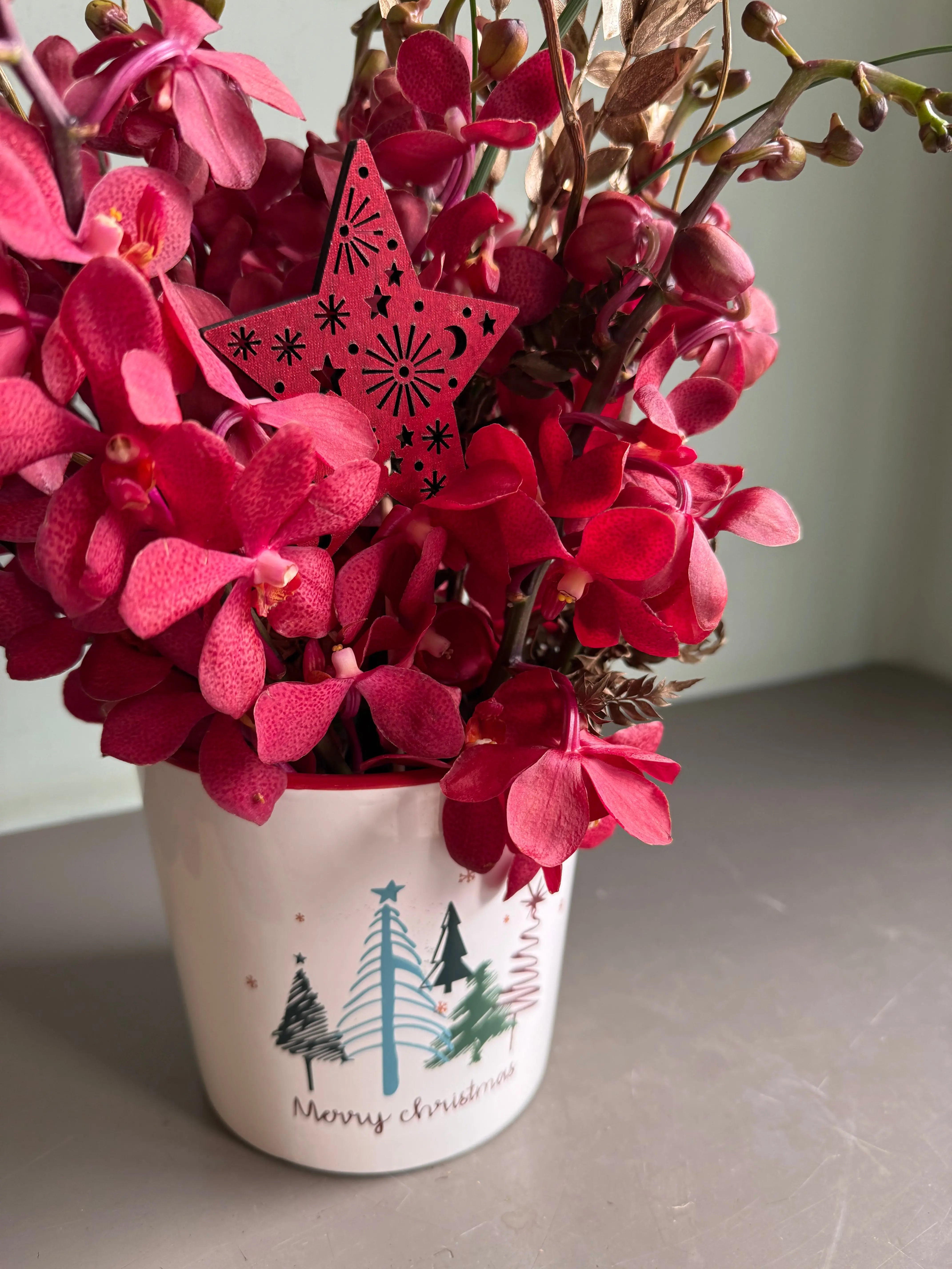 Star Struck Orchids 1magnolialane