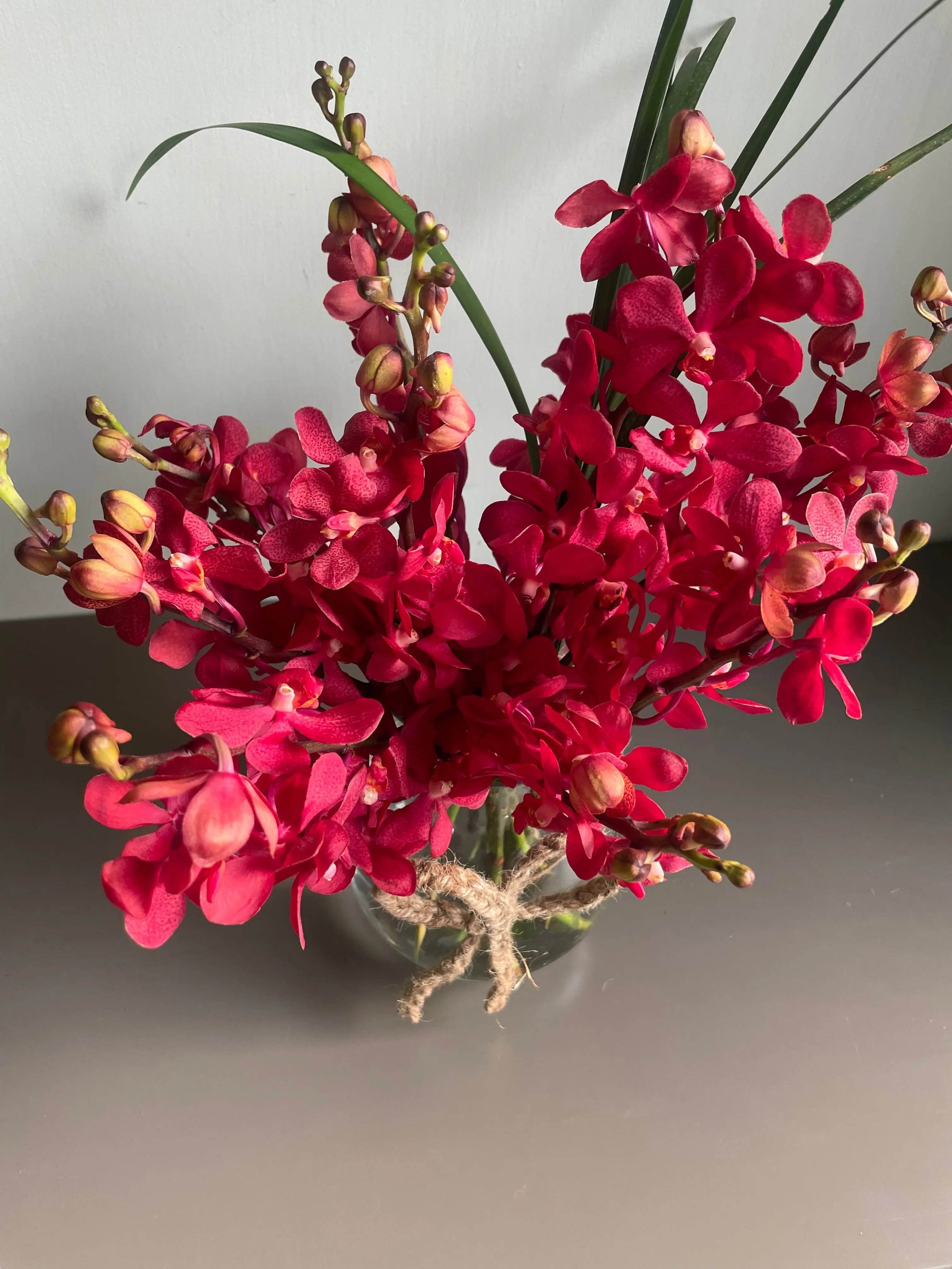 Rainbow Red 1magnolialane