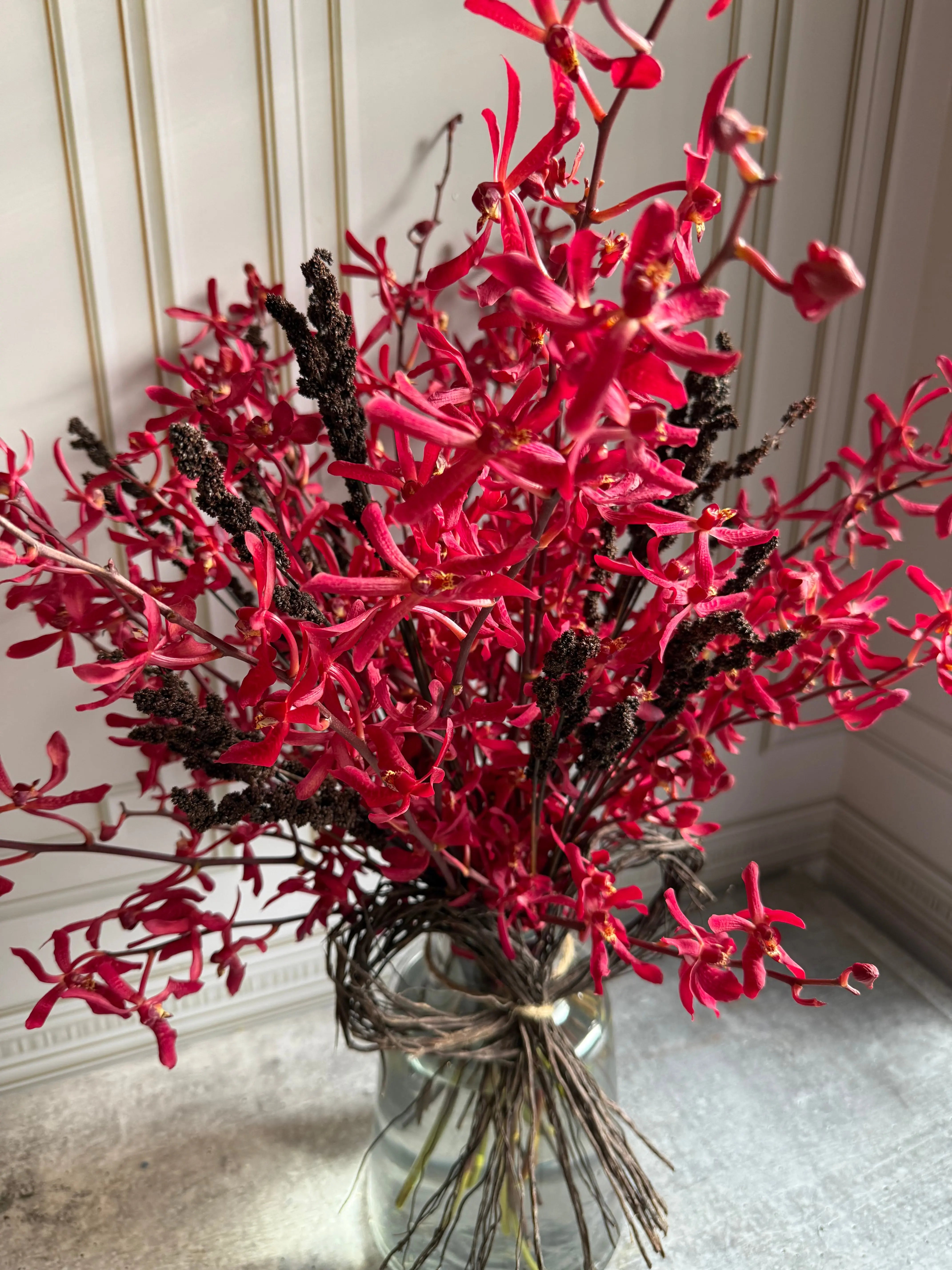 Red Beacon 1magnolialane