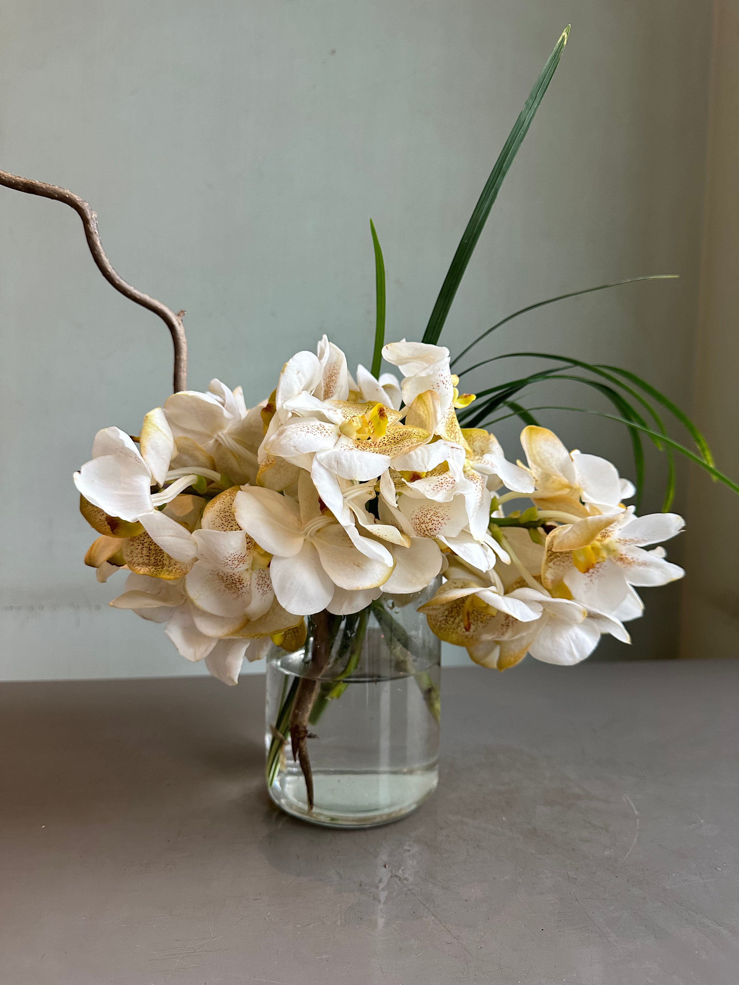 Confetti 1magnolialane
