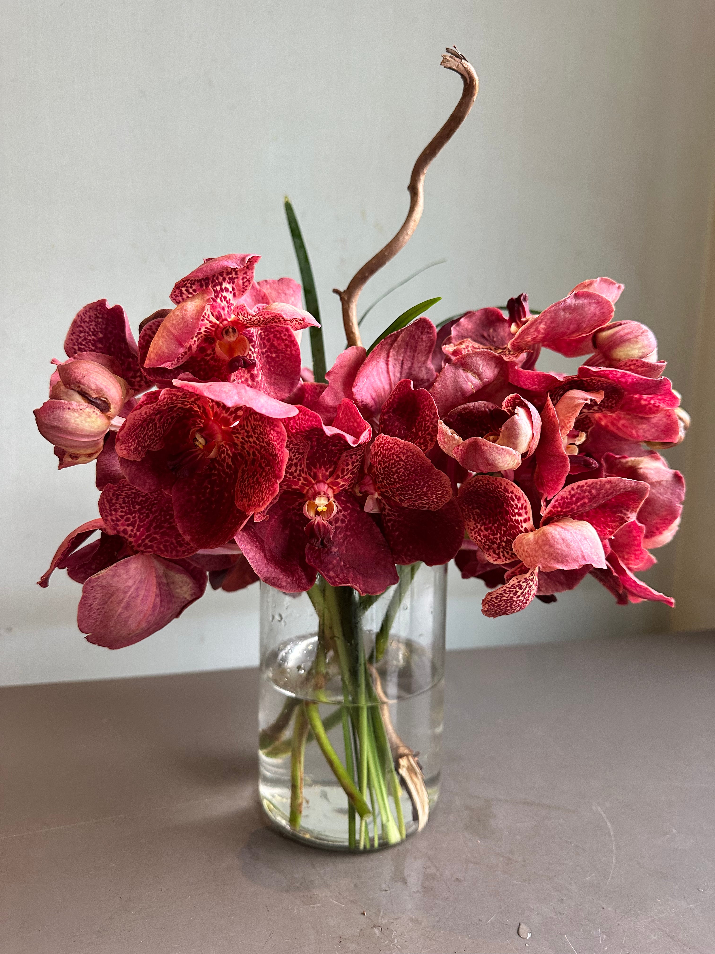 Fire 1magnolialane