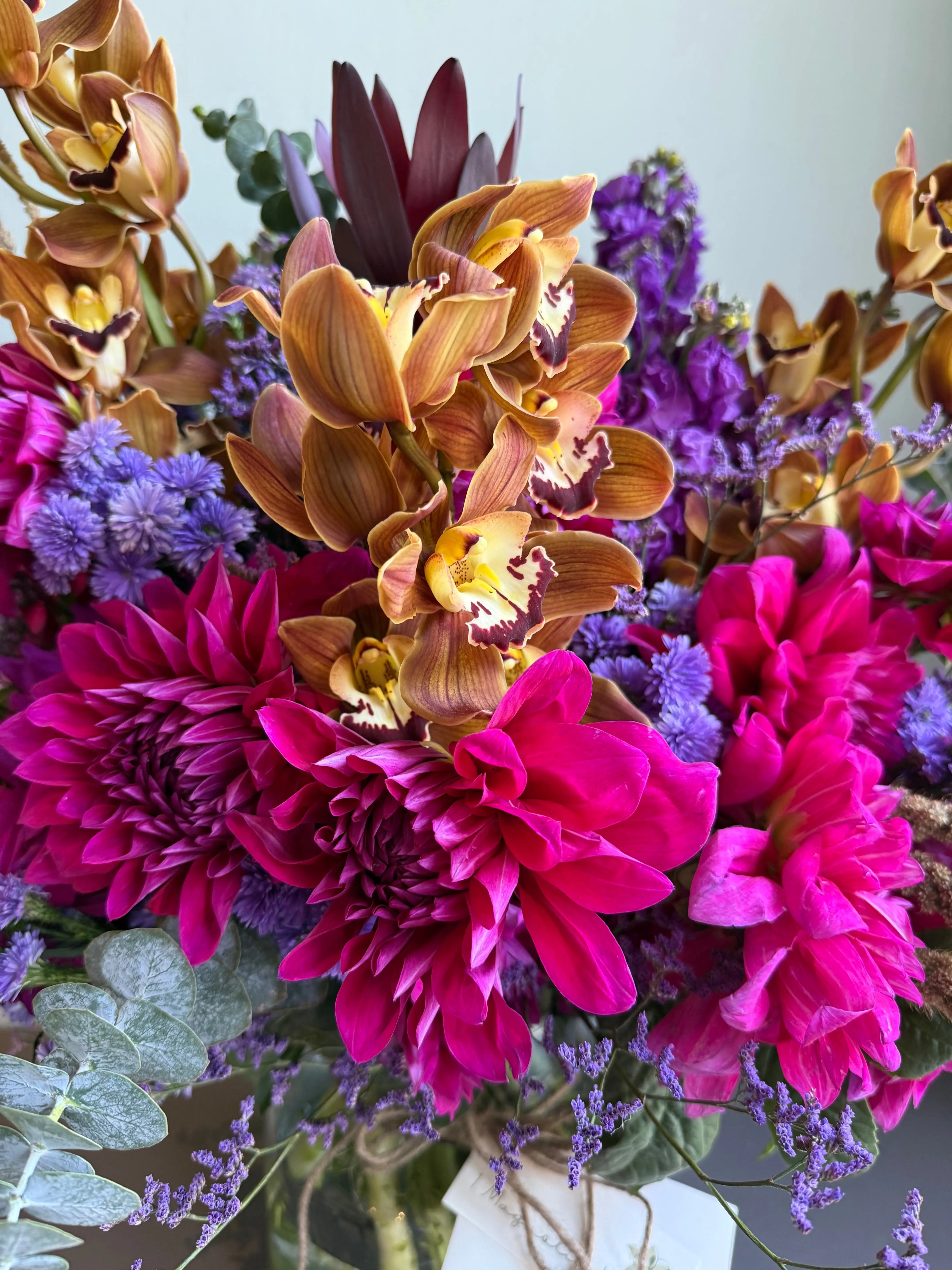 Ms. Perfect 1magnolialane