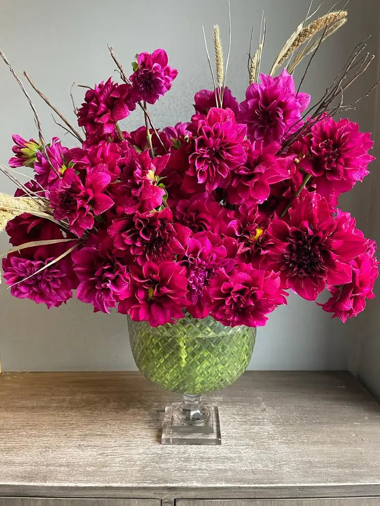 Dahlia Diaries 1magnolialane