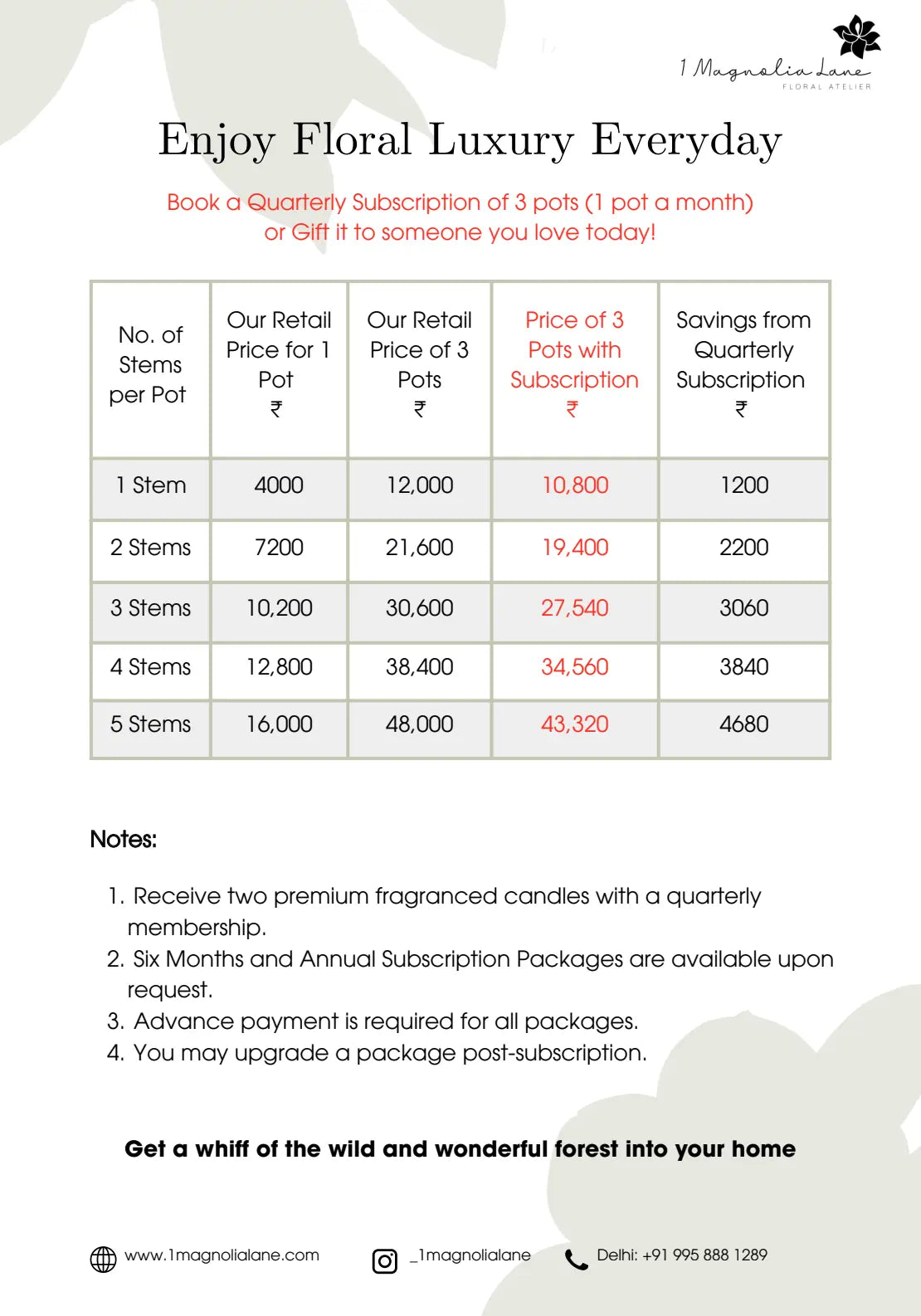 Phalaenopsis Orchid Pots - Subscription 1magnolialane
